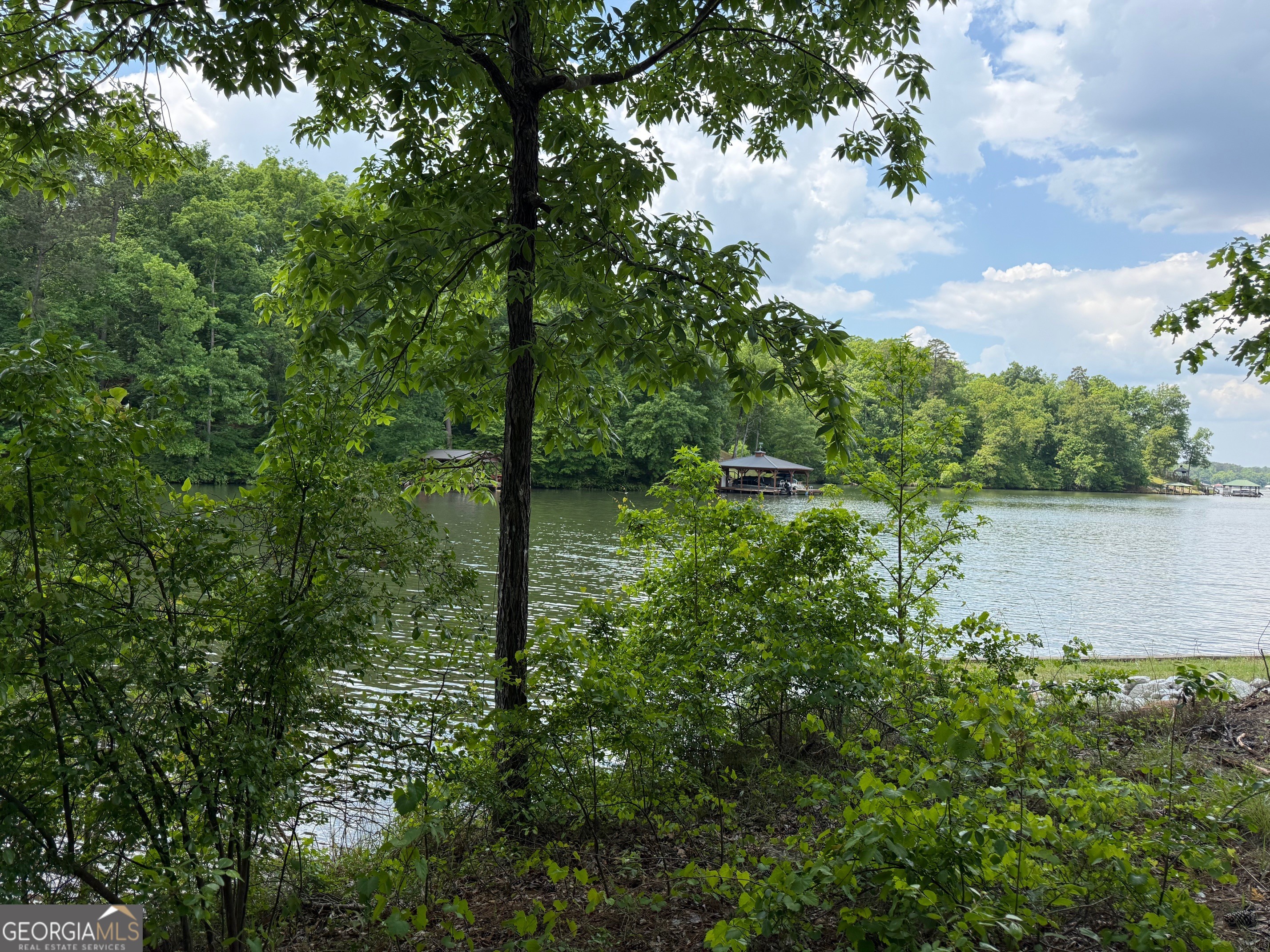 0 Hickory Pass Property Photo 6
