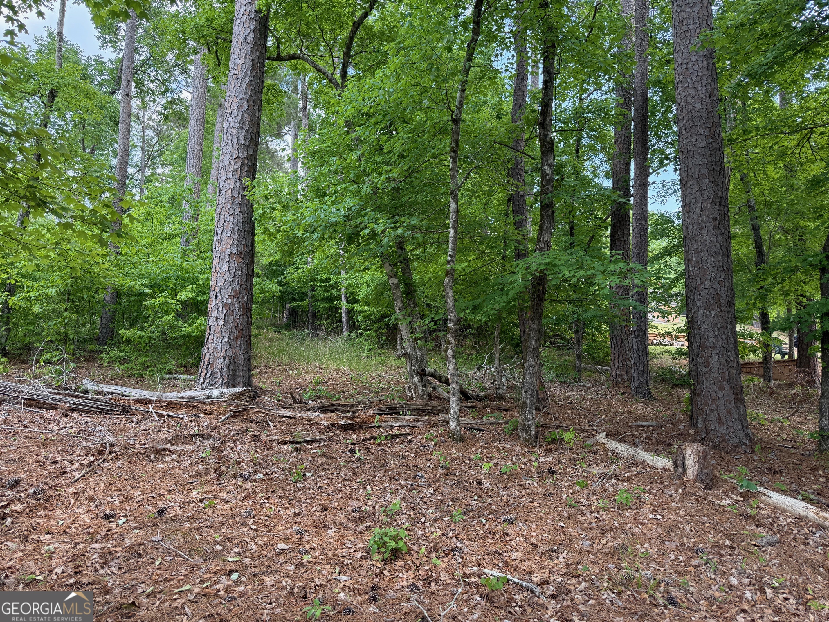 0 Hickory Pass Property Photo 7