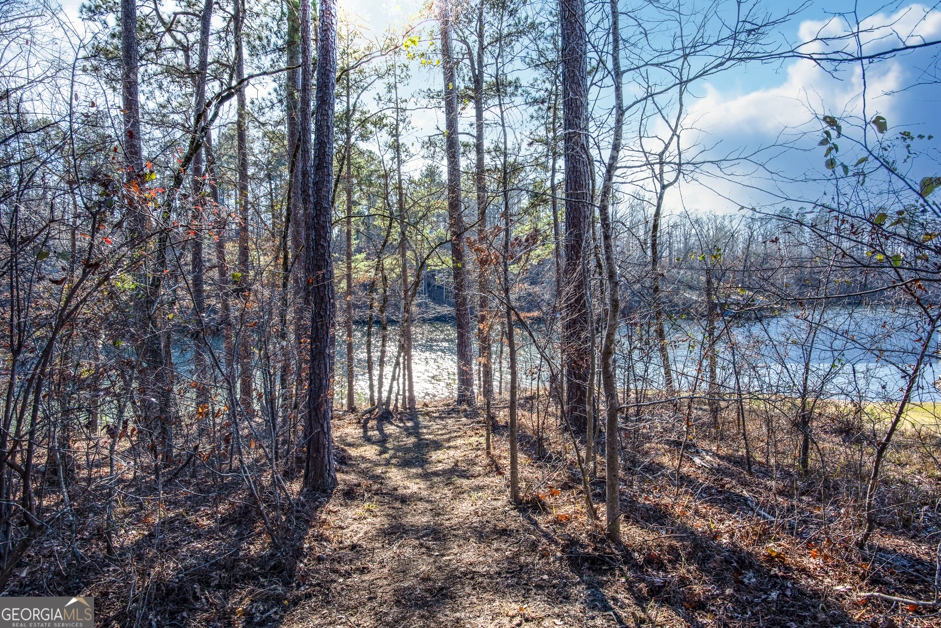 0 Hickory Pass Property Photo 9