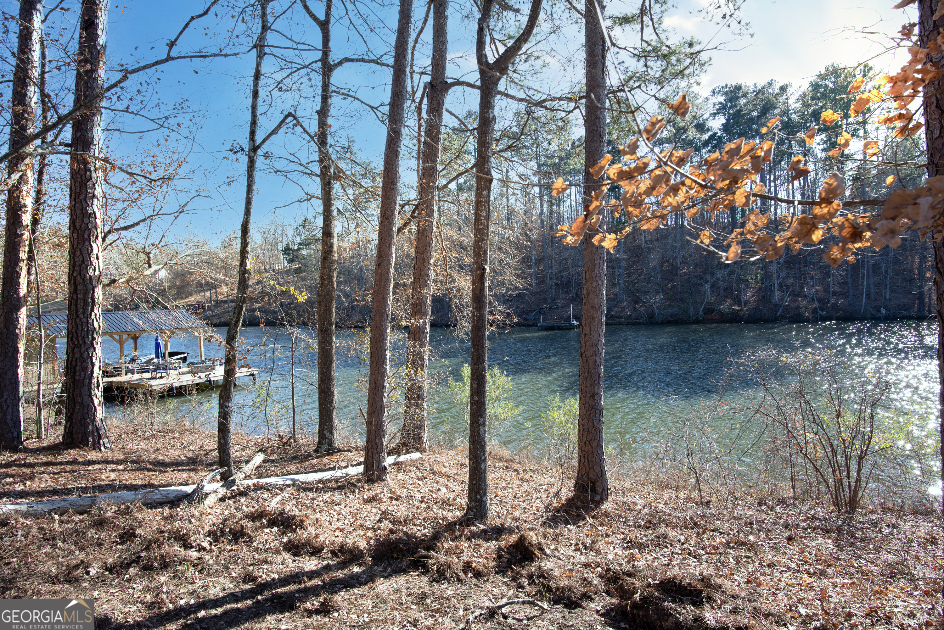 0 Hickory Pass Property Photo 11