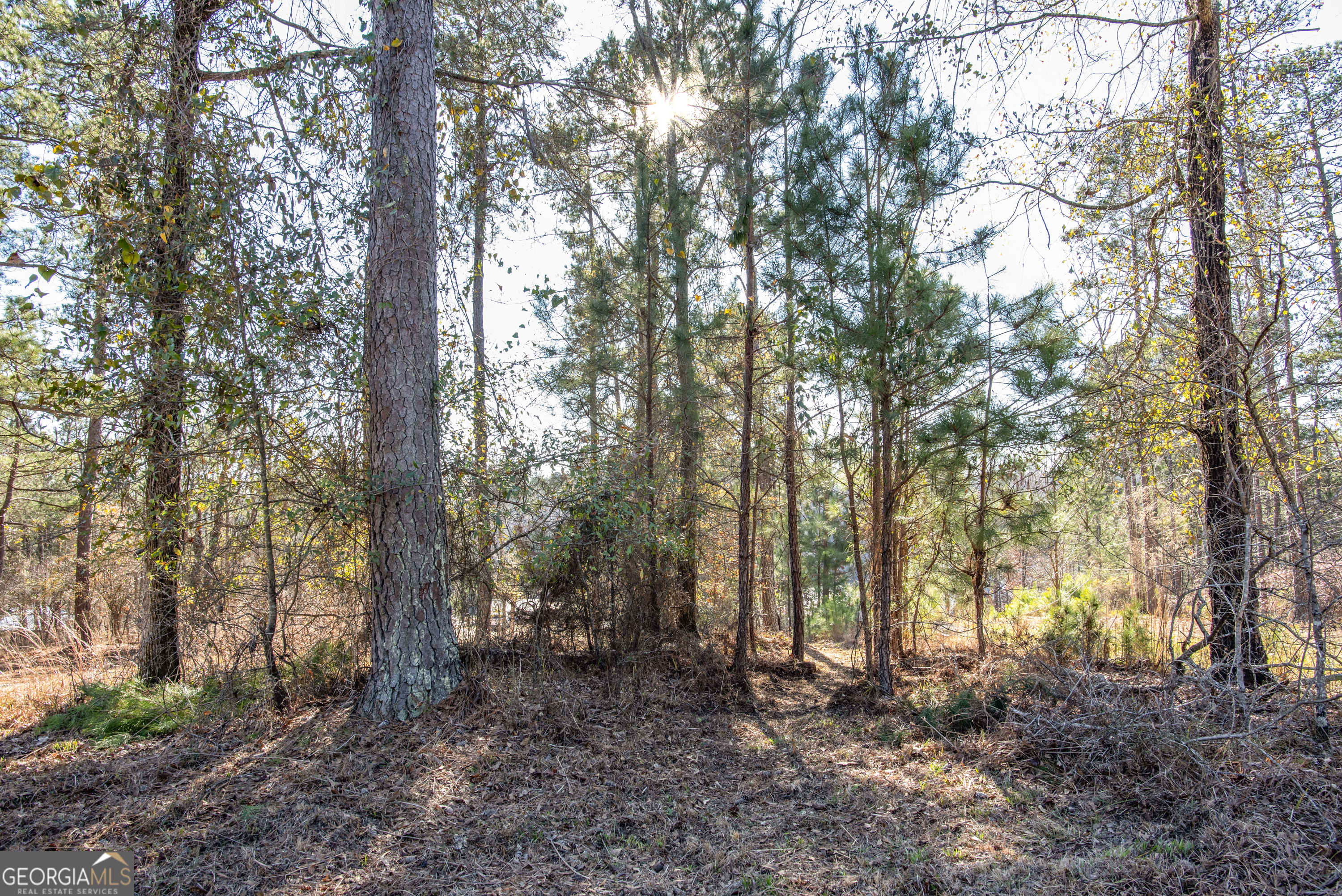 0 Hickory Pass Property Photo 32
