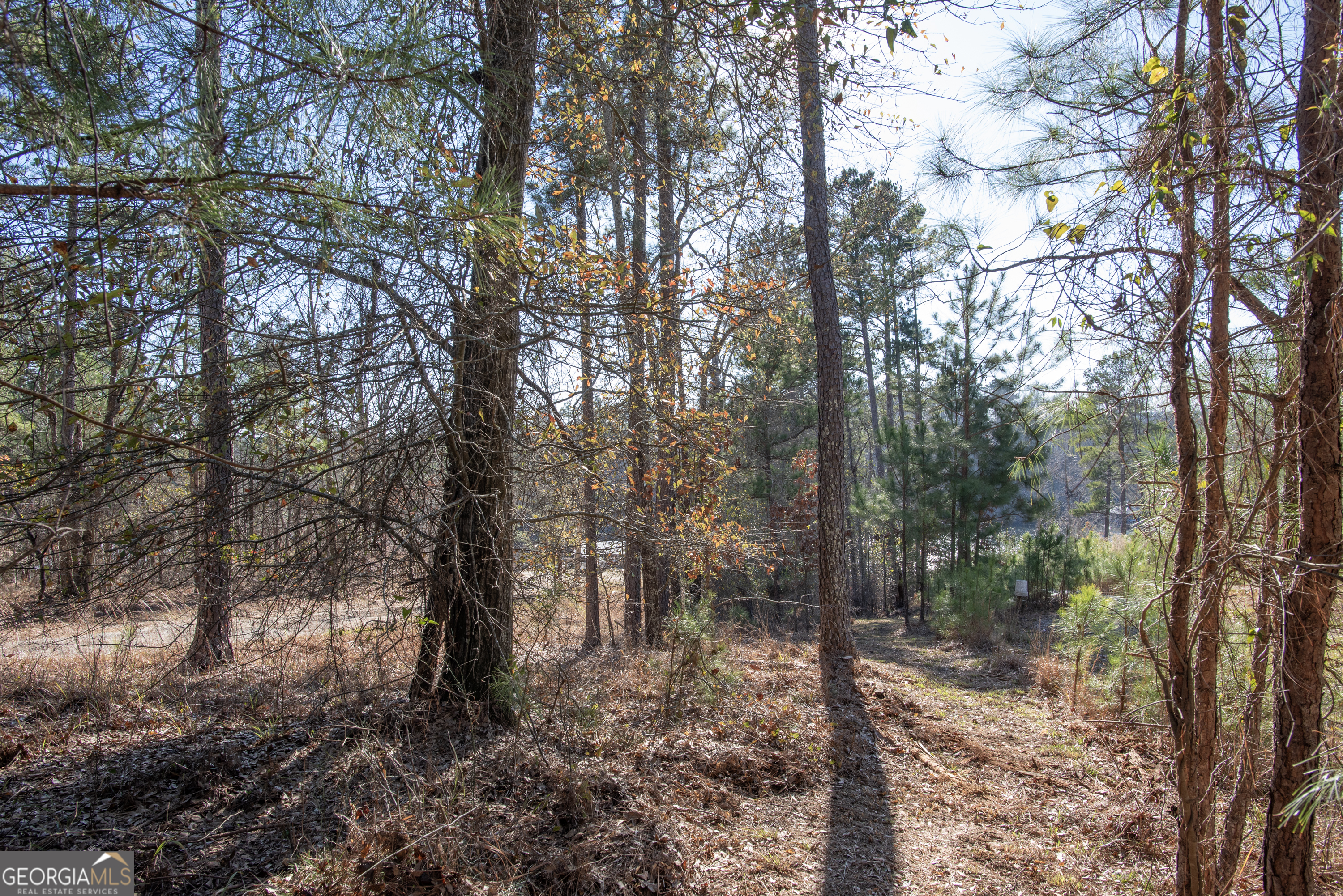 0 Hickory Pass Property Photo 33