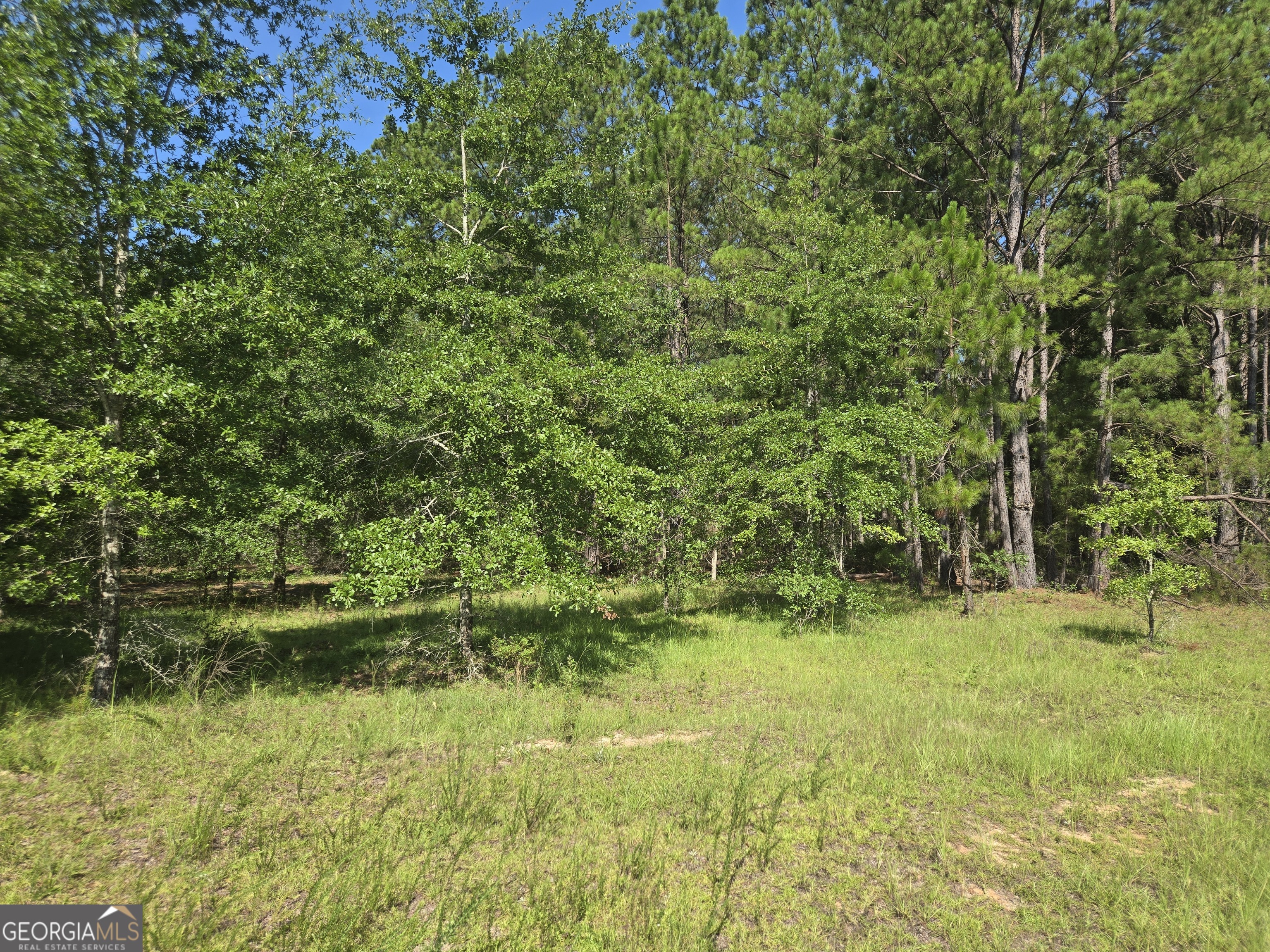 0 Live Oak Drive Property Photo 8