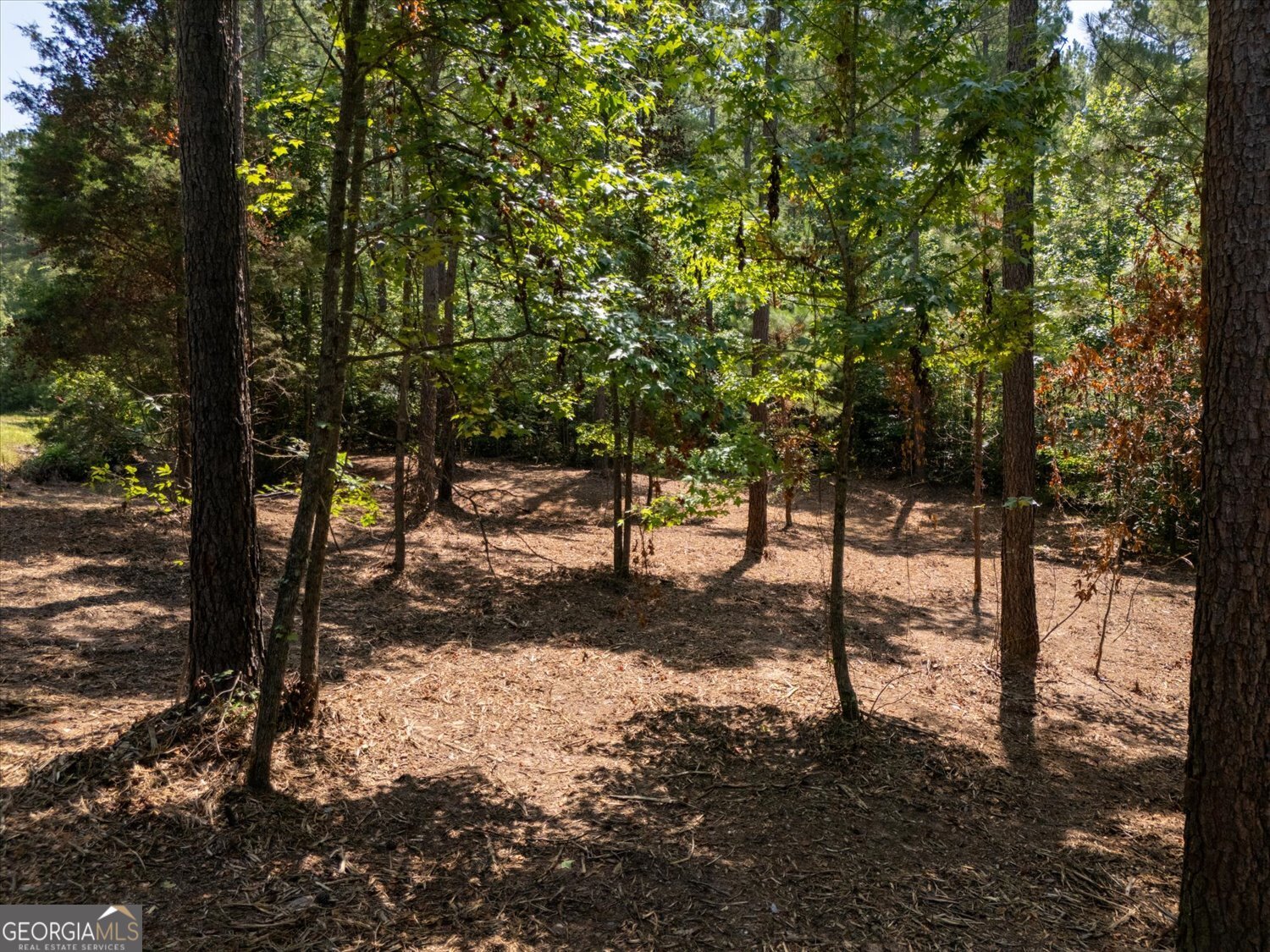 0 Hornets Bridge Road Property Photo 8