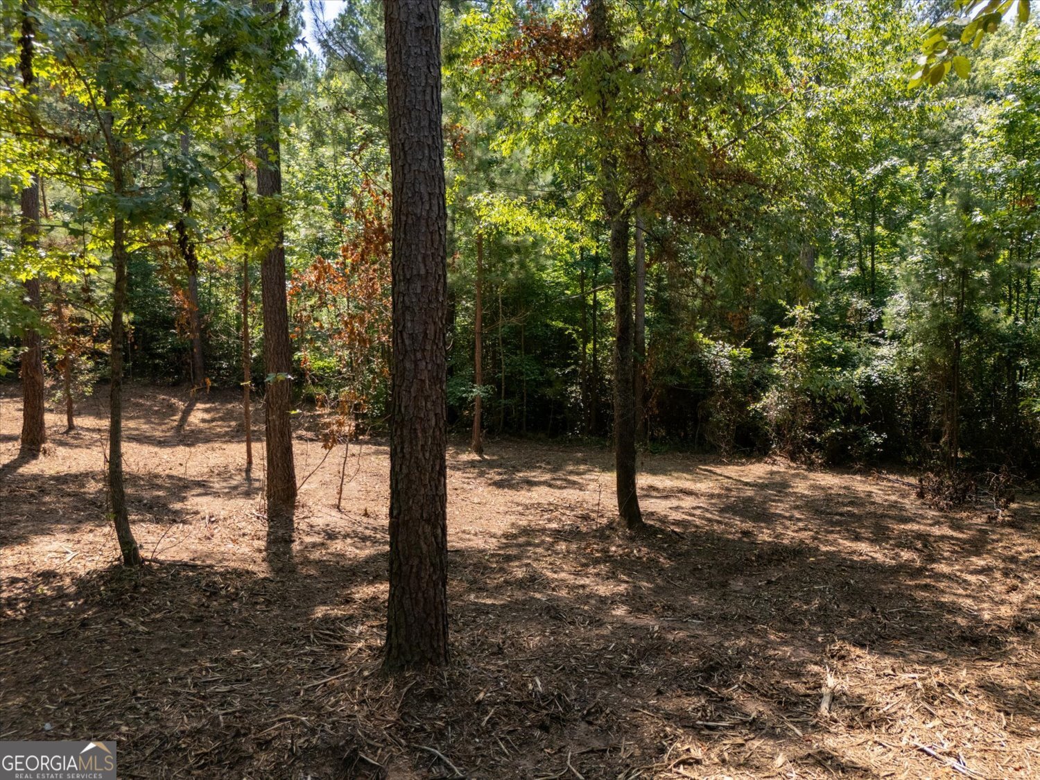 0 Hornets Bridge Road Property Photo 9