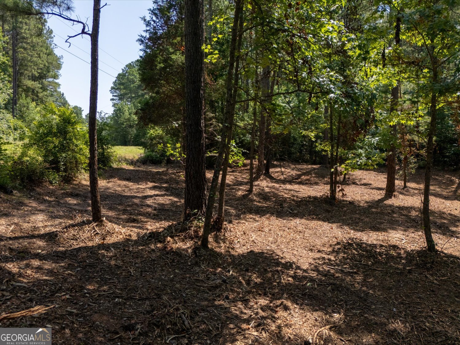 0 Hornets Bridge Road Property Photo 10