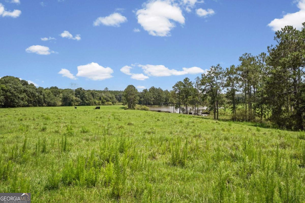 6340 Coverdale Highway Property Photo 32