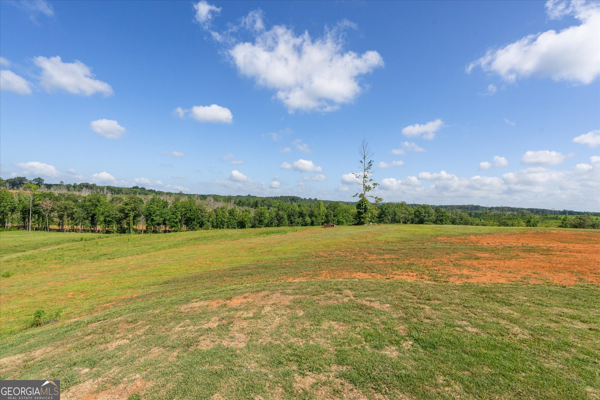 14237 County Road 82 Property Photo 49
