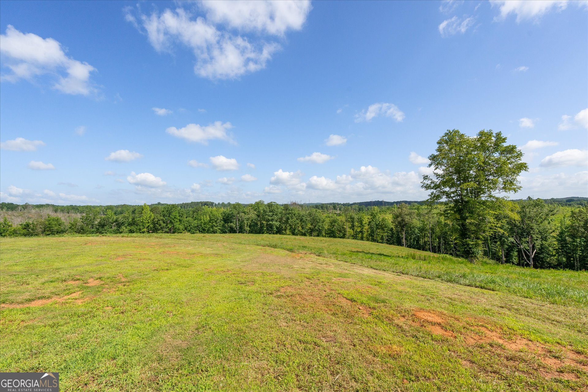 14237 County Road 82 Property Photo 50