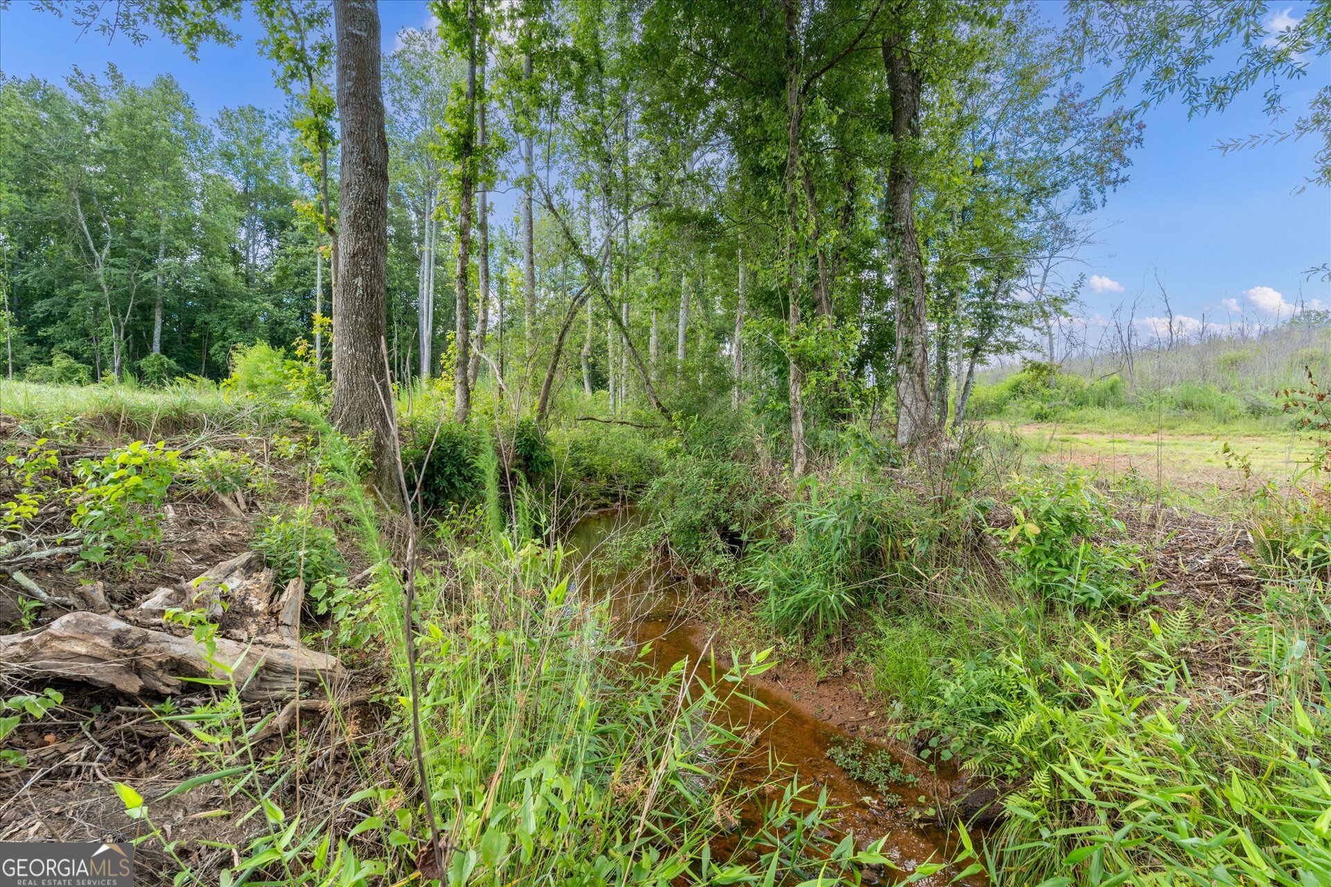 14237 County Road 82 Property Photo 51