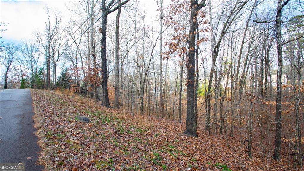 3697 Cameron Circle Property Photo 10