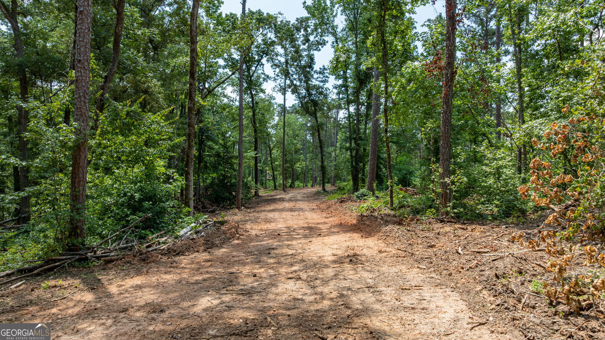 543 Faust Farm Road Property Photo 4