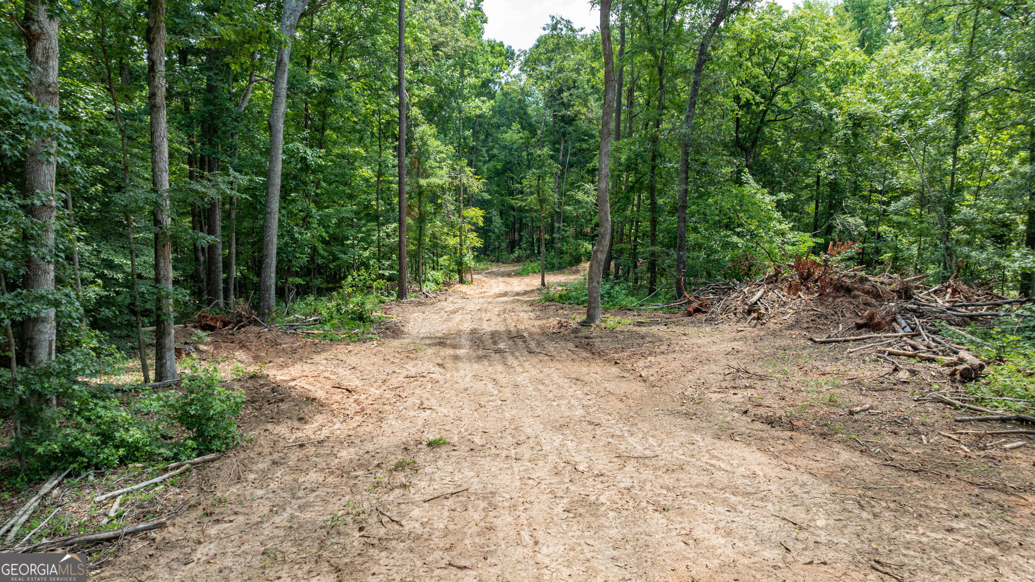 543 Faust Farm Road Property Photo 5