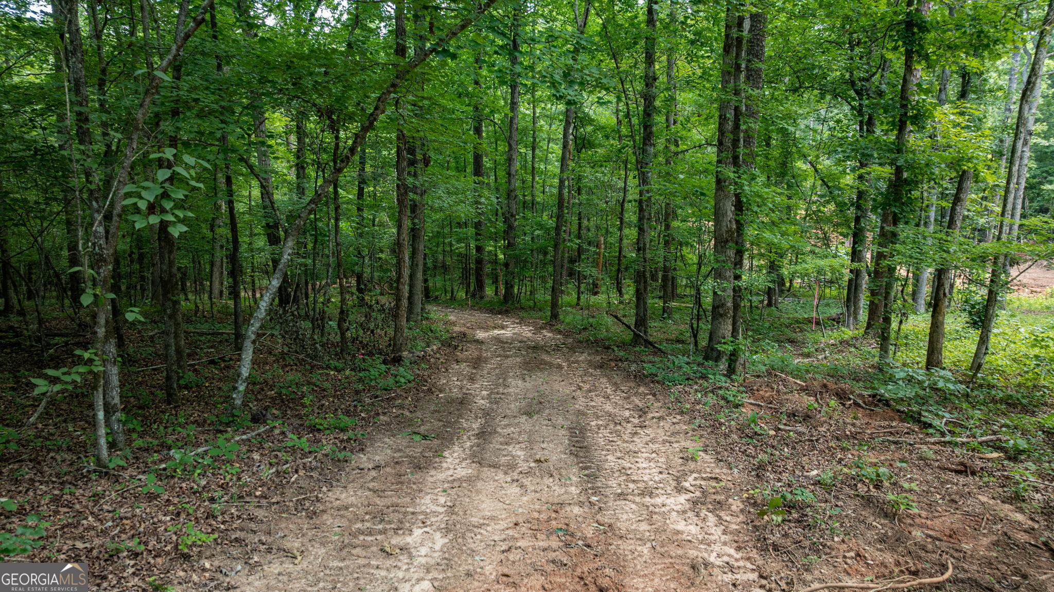 543 Faust Farm Road Property Photo 6