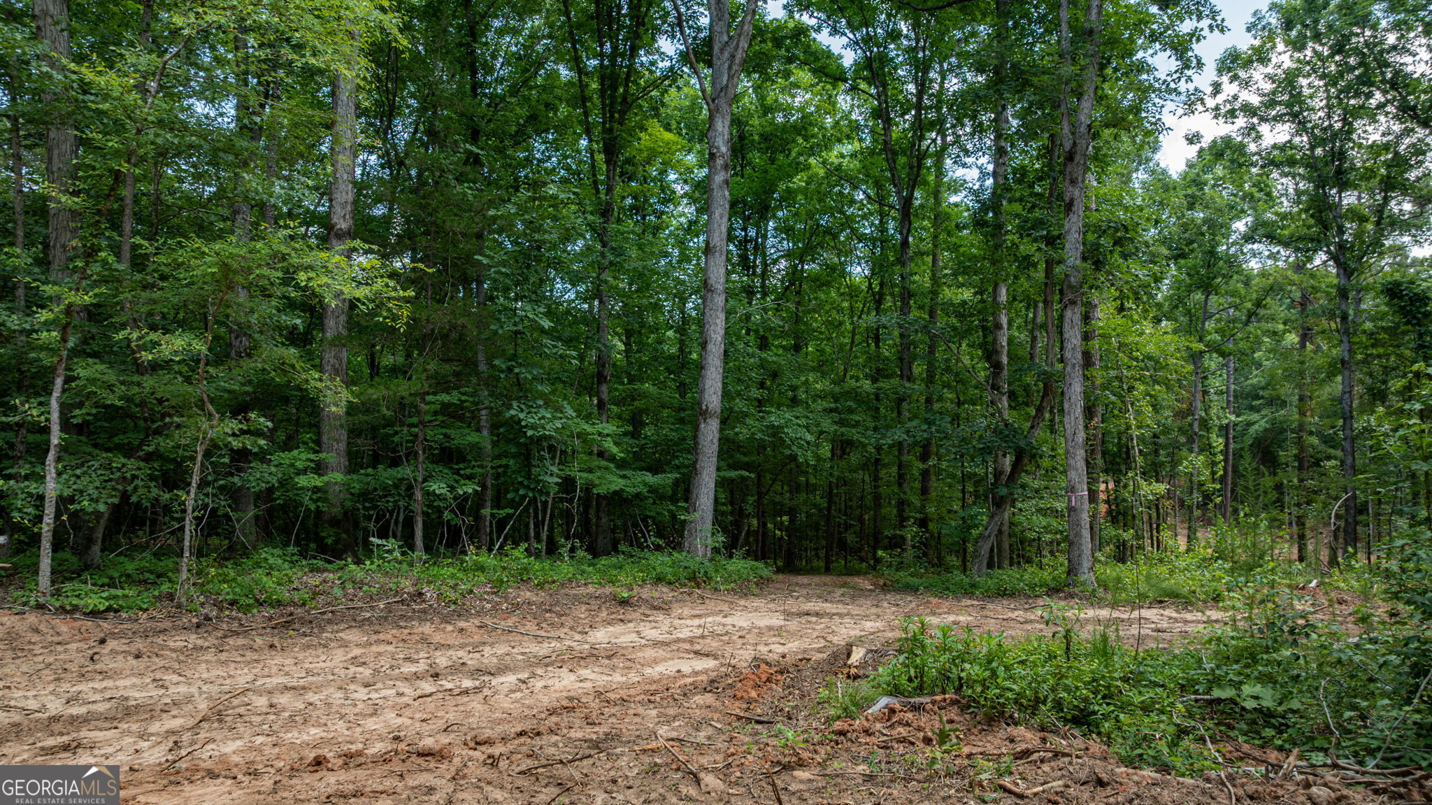 543 Faust Farm Road Property Photo 7