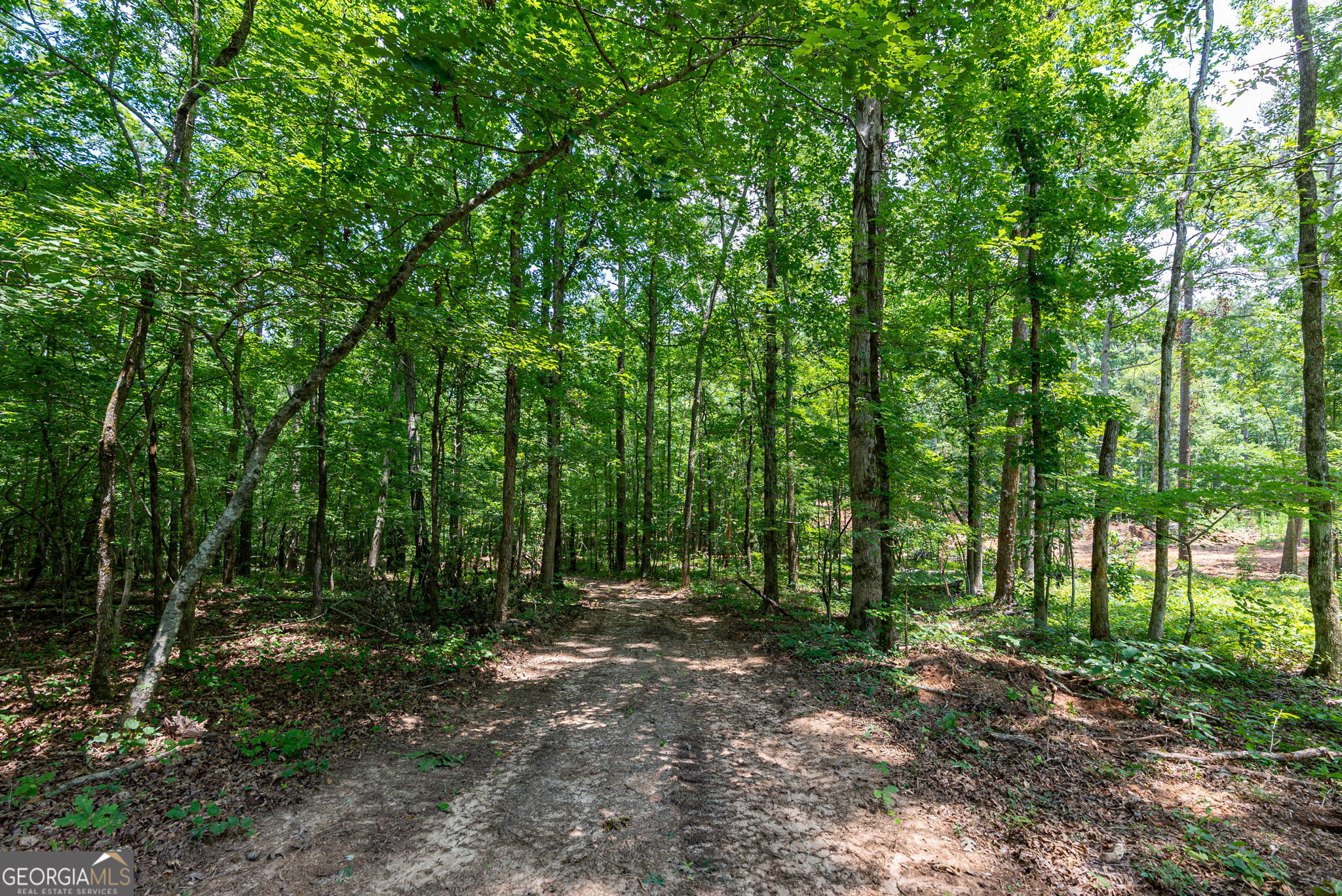 543 Faust Farm Road Property Photo 8