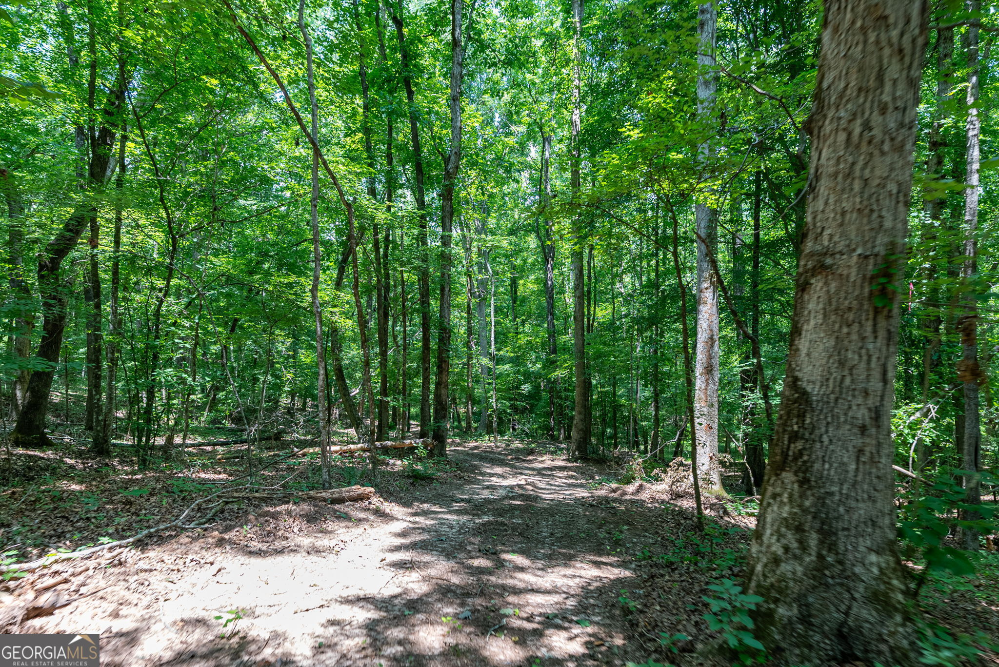 543 Faust Farm Road Property Photo 9