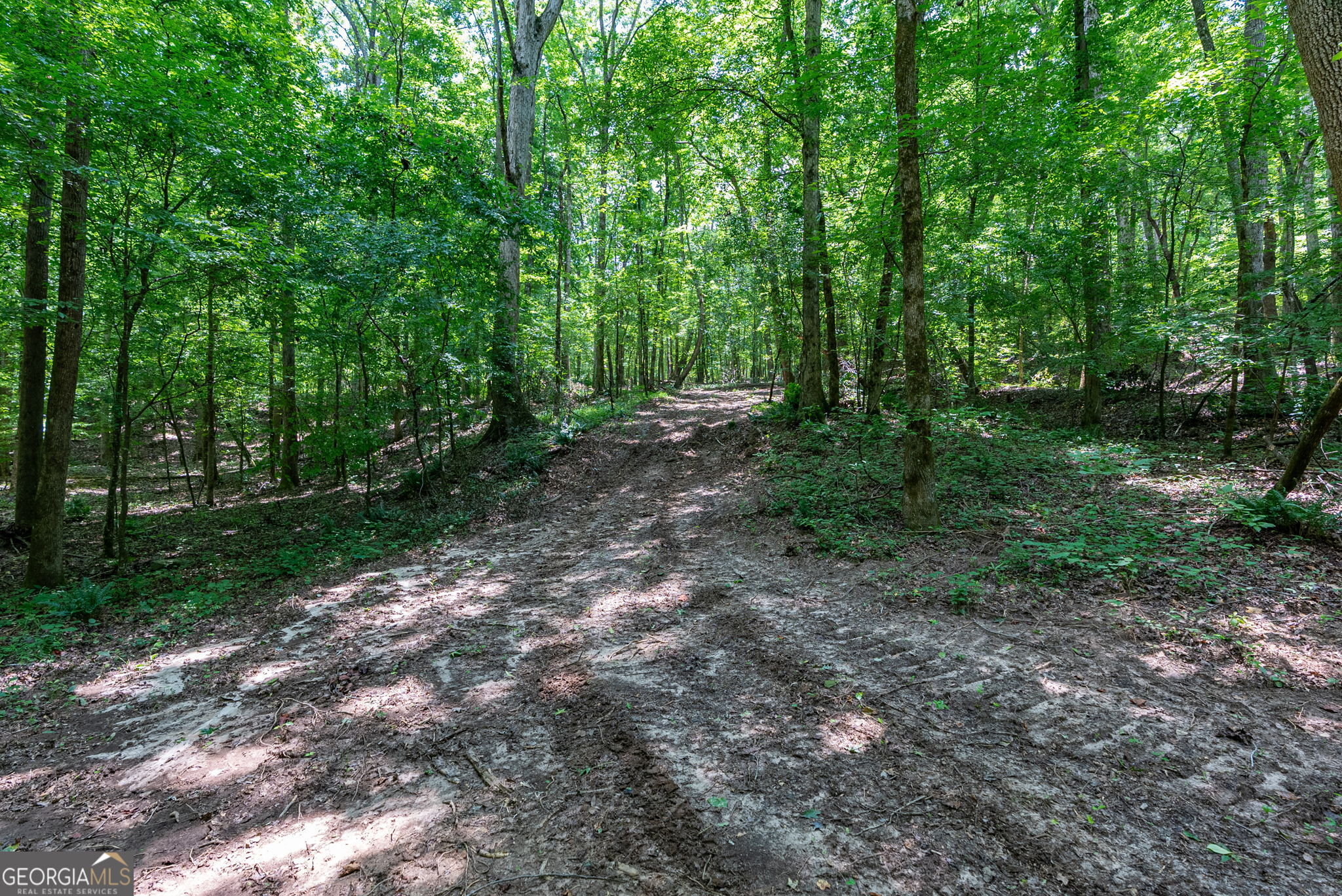543 Faust Farm Road Property Photo 10