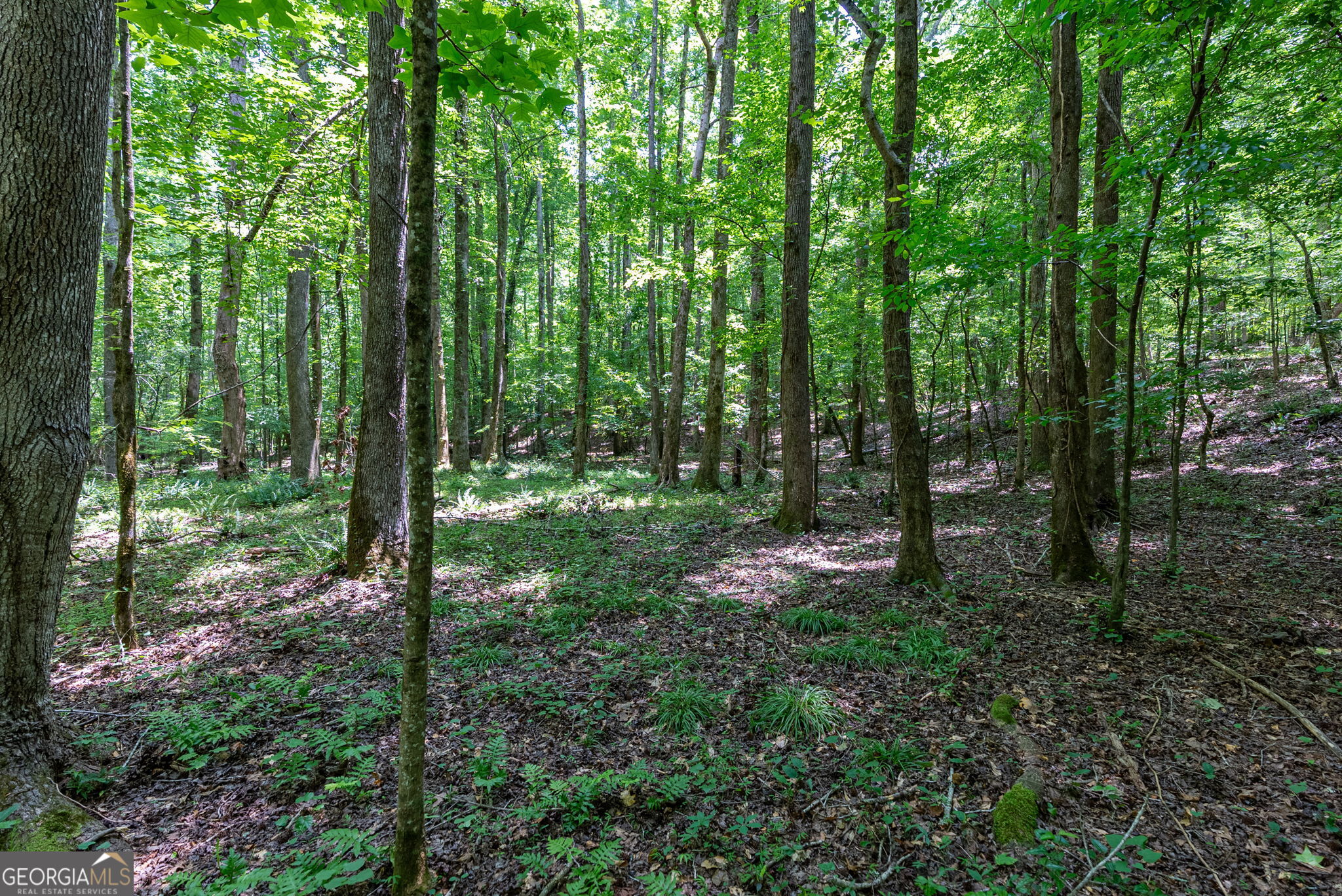 543 Faust Farm Road Property Photo 11
