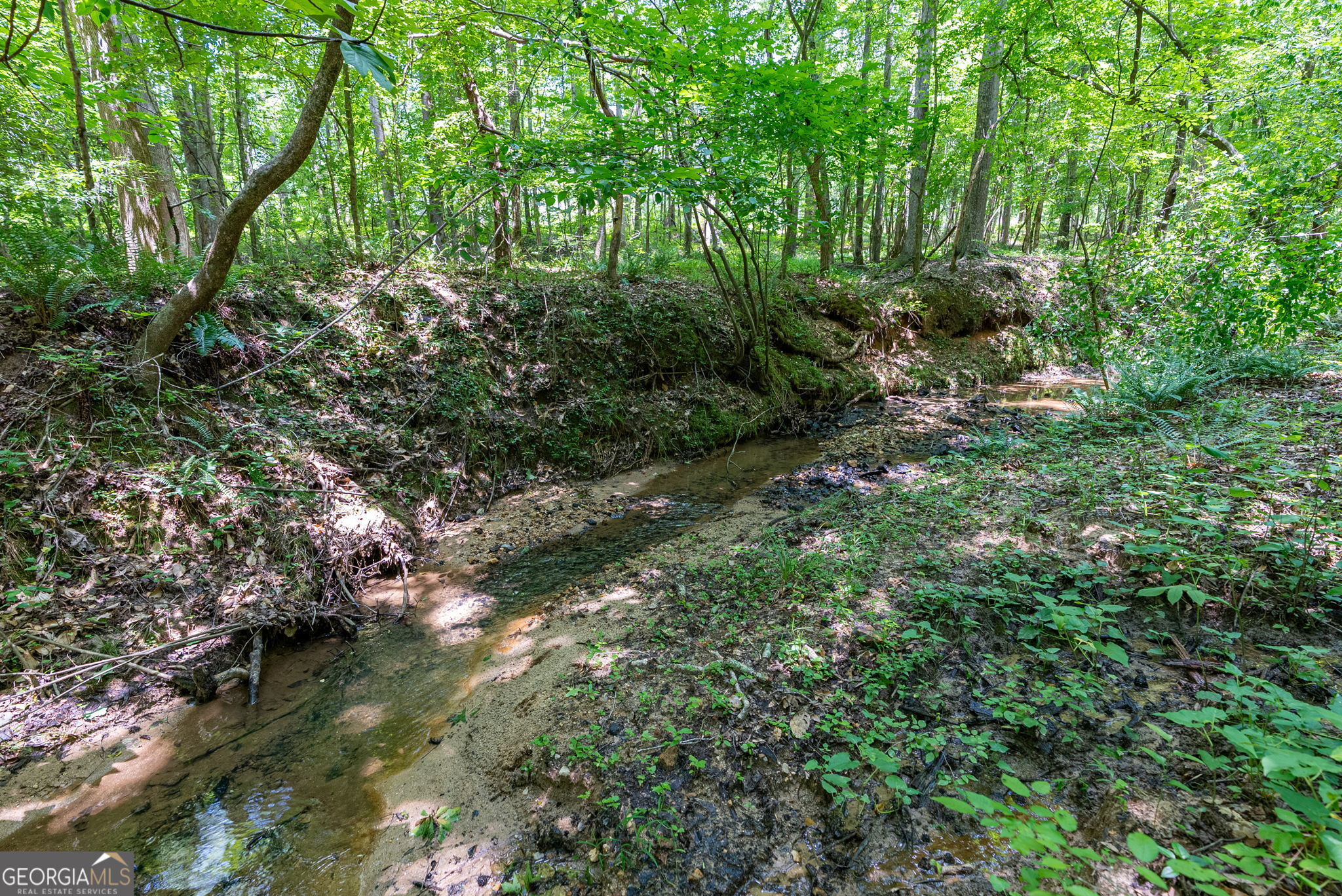 543 Faust Farm Road Property Photo 13