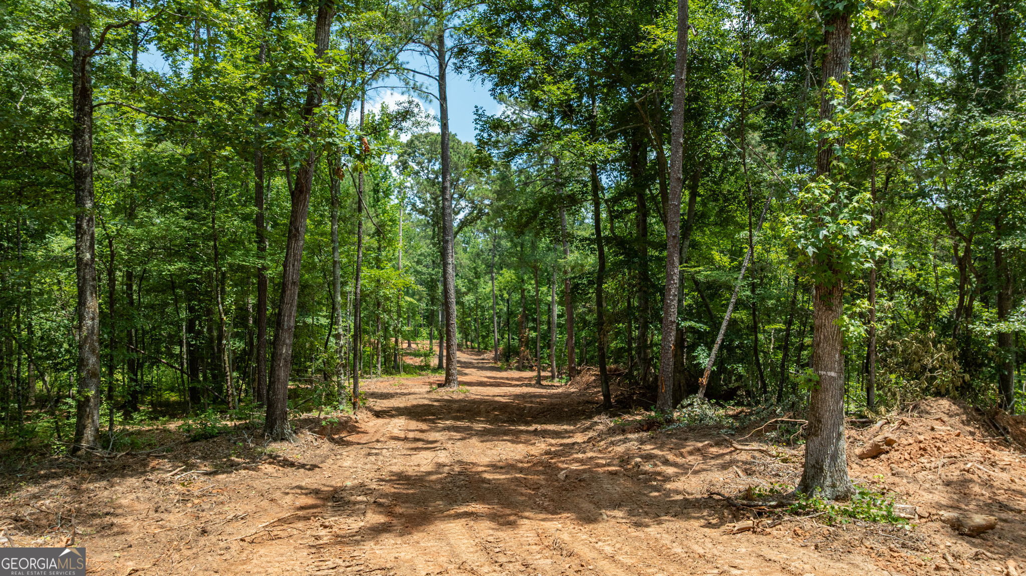 557 Faust Farm Road Property Photo 6