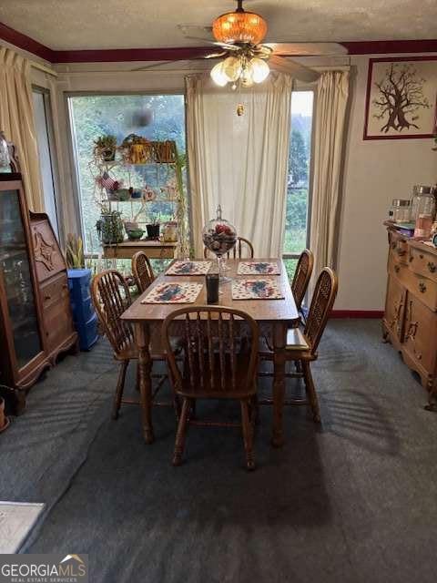 3675 Goodwin Road Property Photo 17