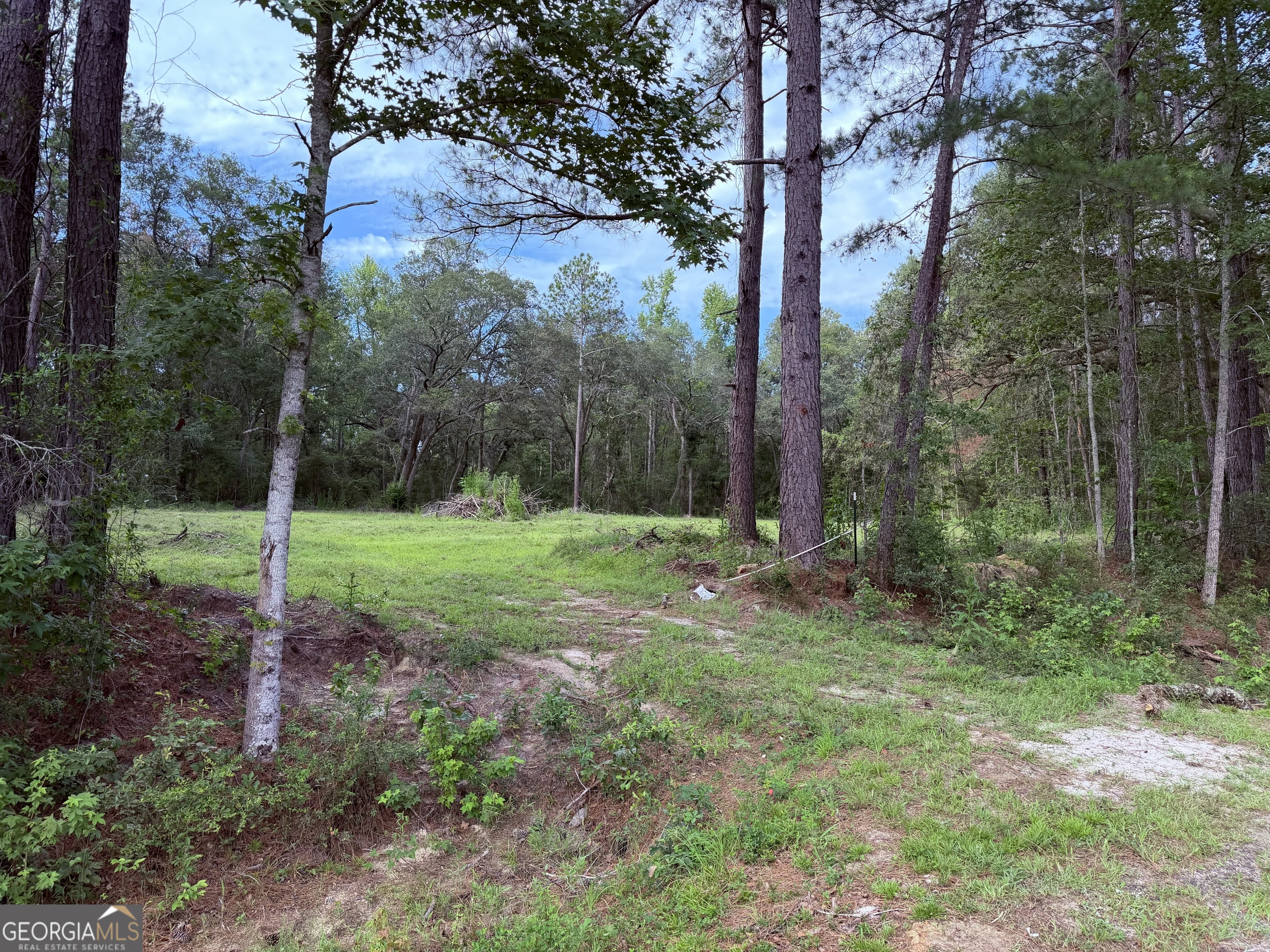 3980 Mosely Road Property Photo 5