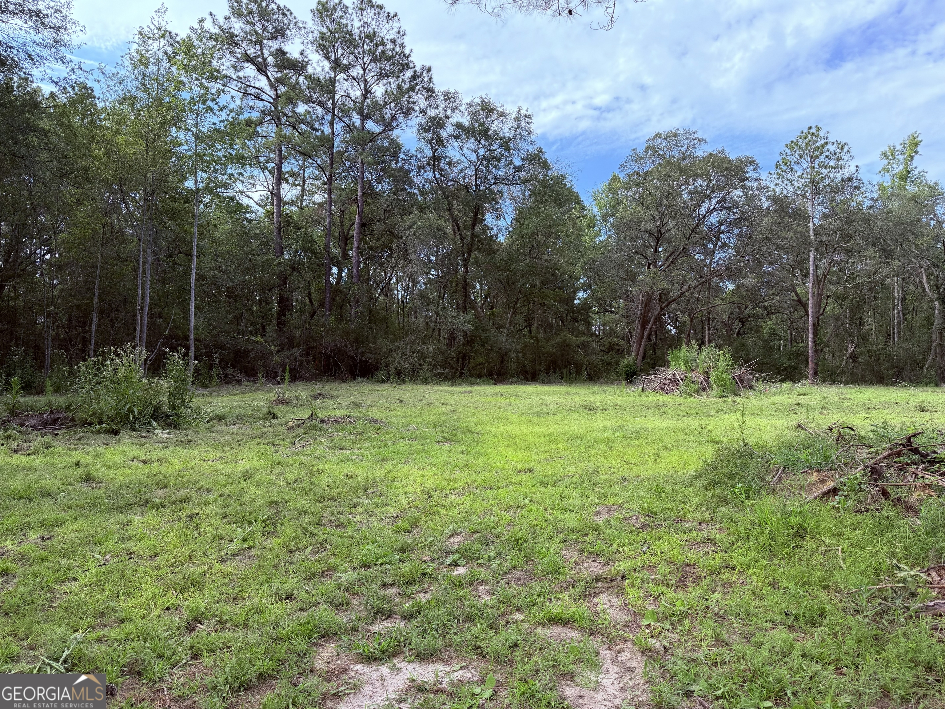 3980 Mosely Road Property Photo 6