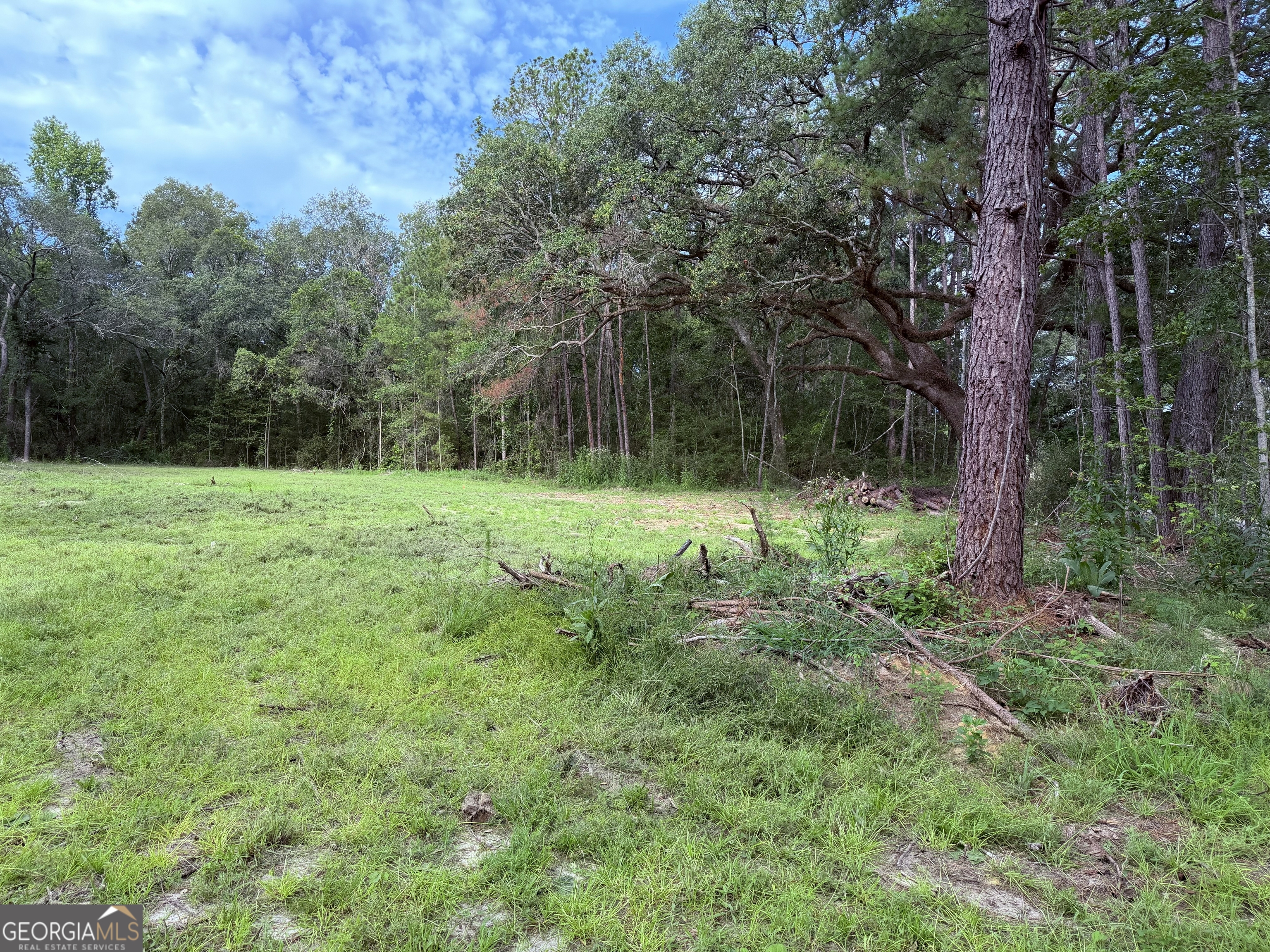 3980 Mosely Road Property Photo 8