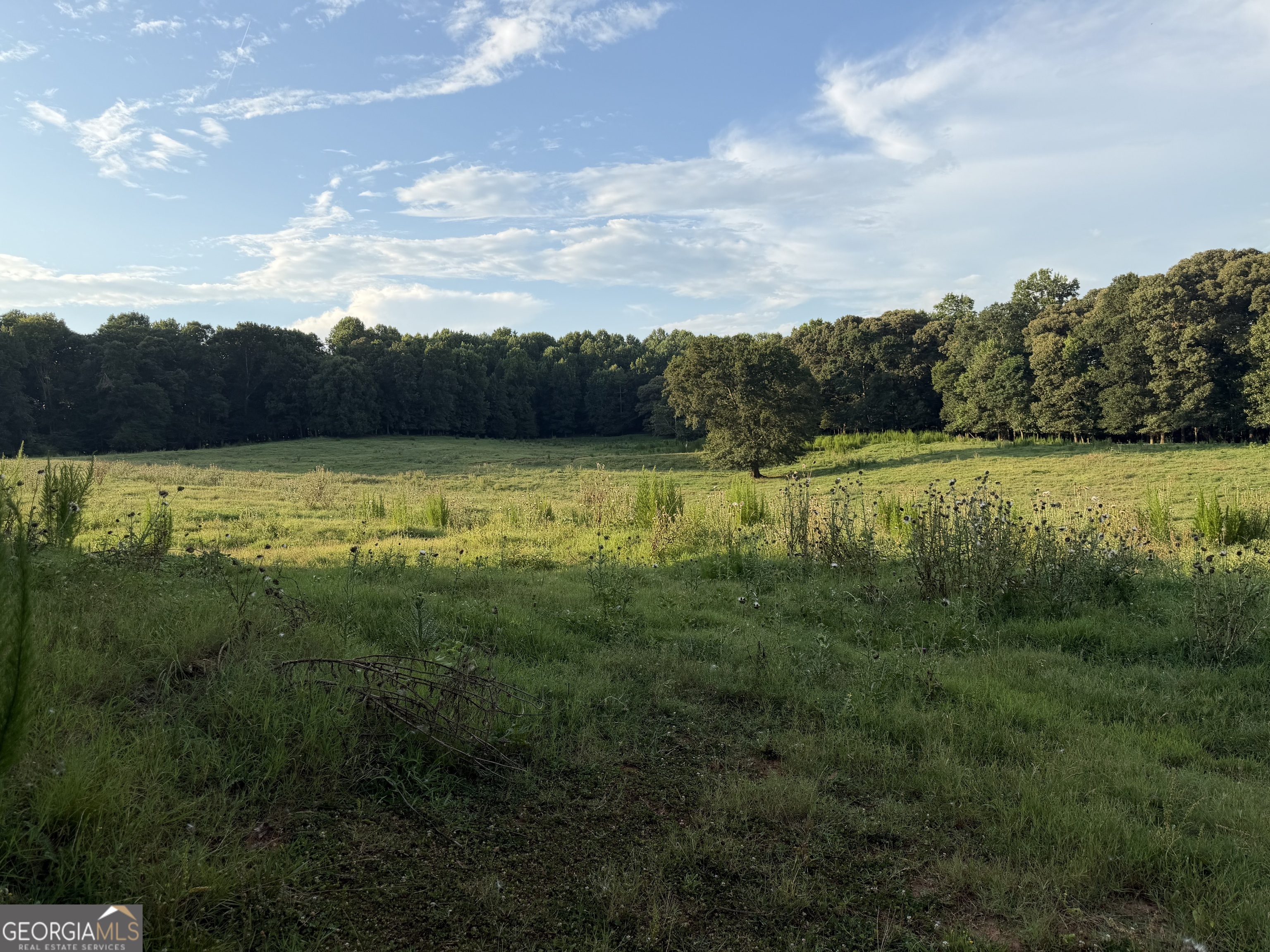 3481 Highway 59 Property Photo 2
