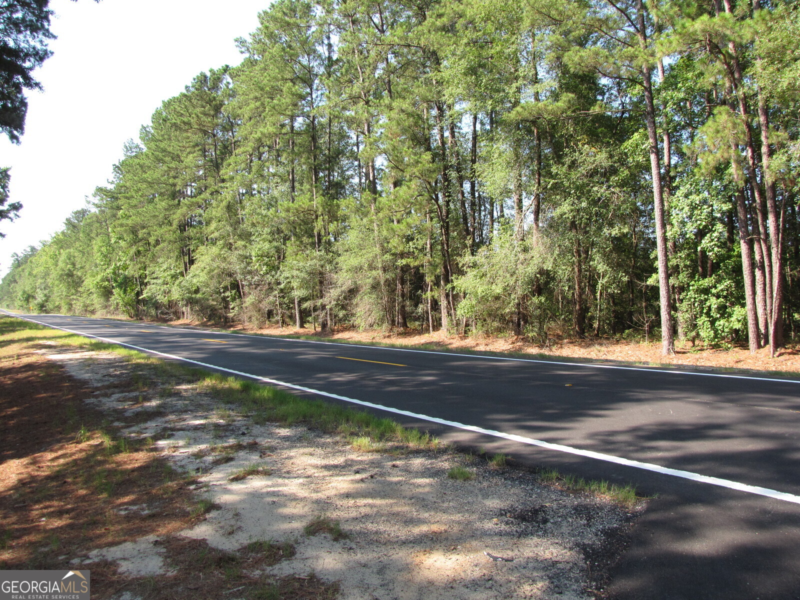 0 Hwy 17 Property Photo 1