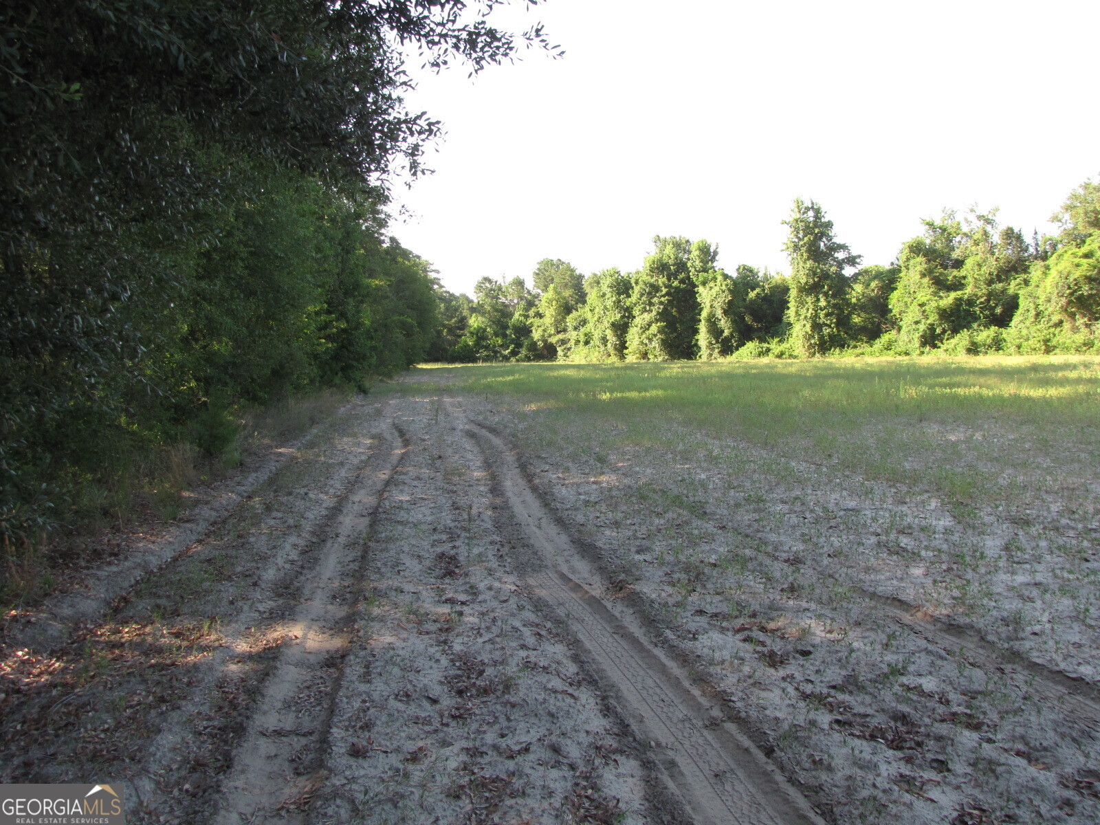 0 Hwy 17 Property Photo 2