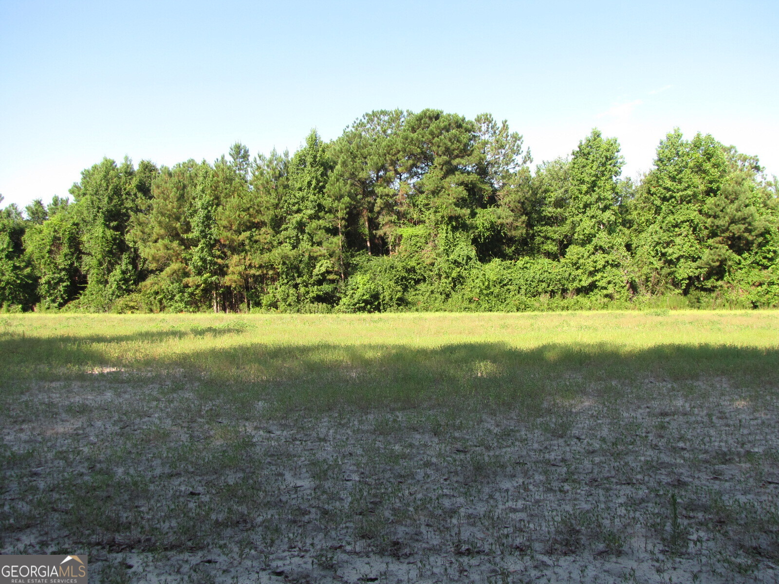 0 Hwy 17 Property Photo 3