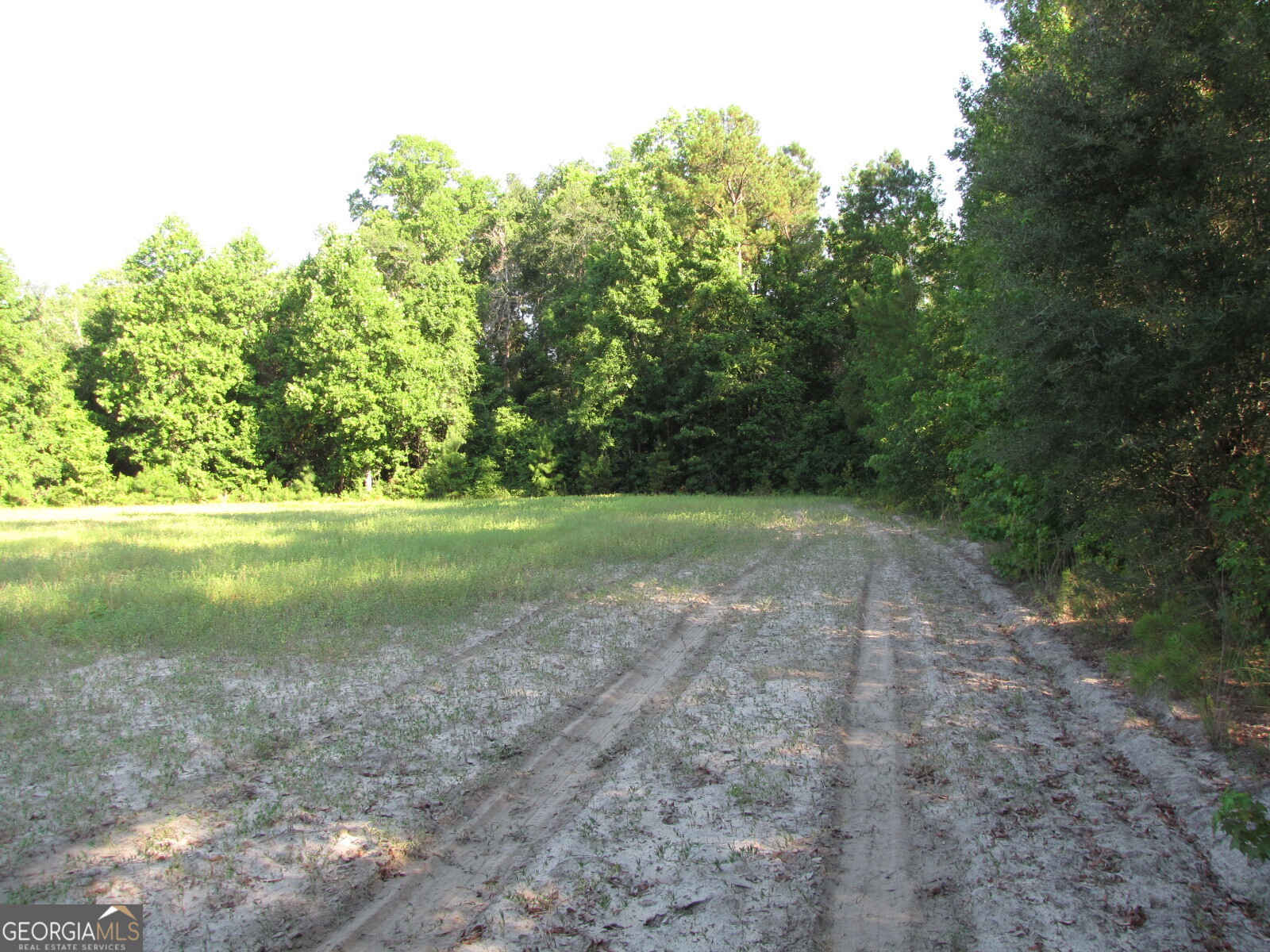 0 Hwy 17 Property Photo 4