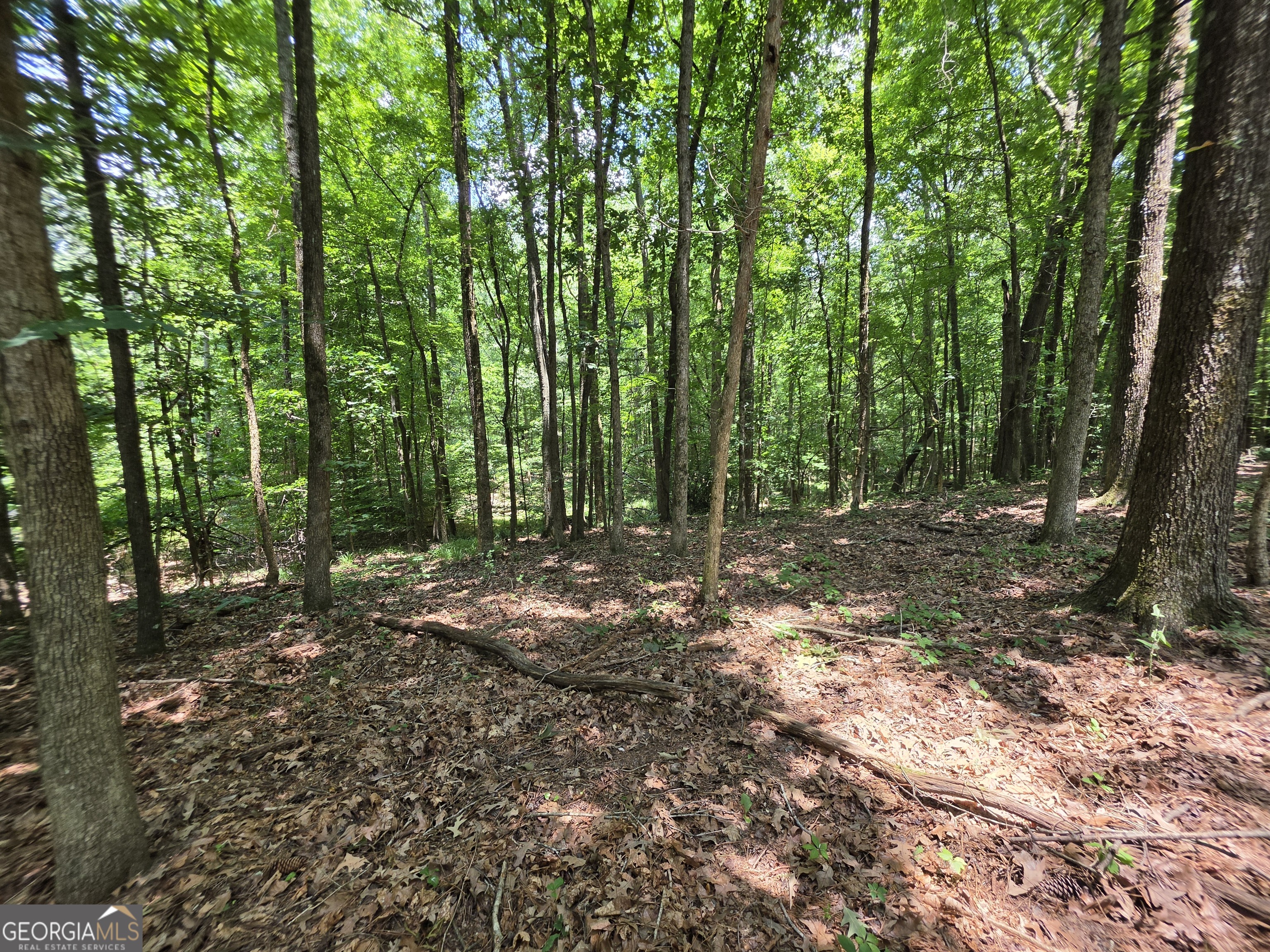 0 Court Ground Property Photo 4