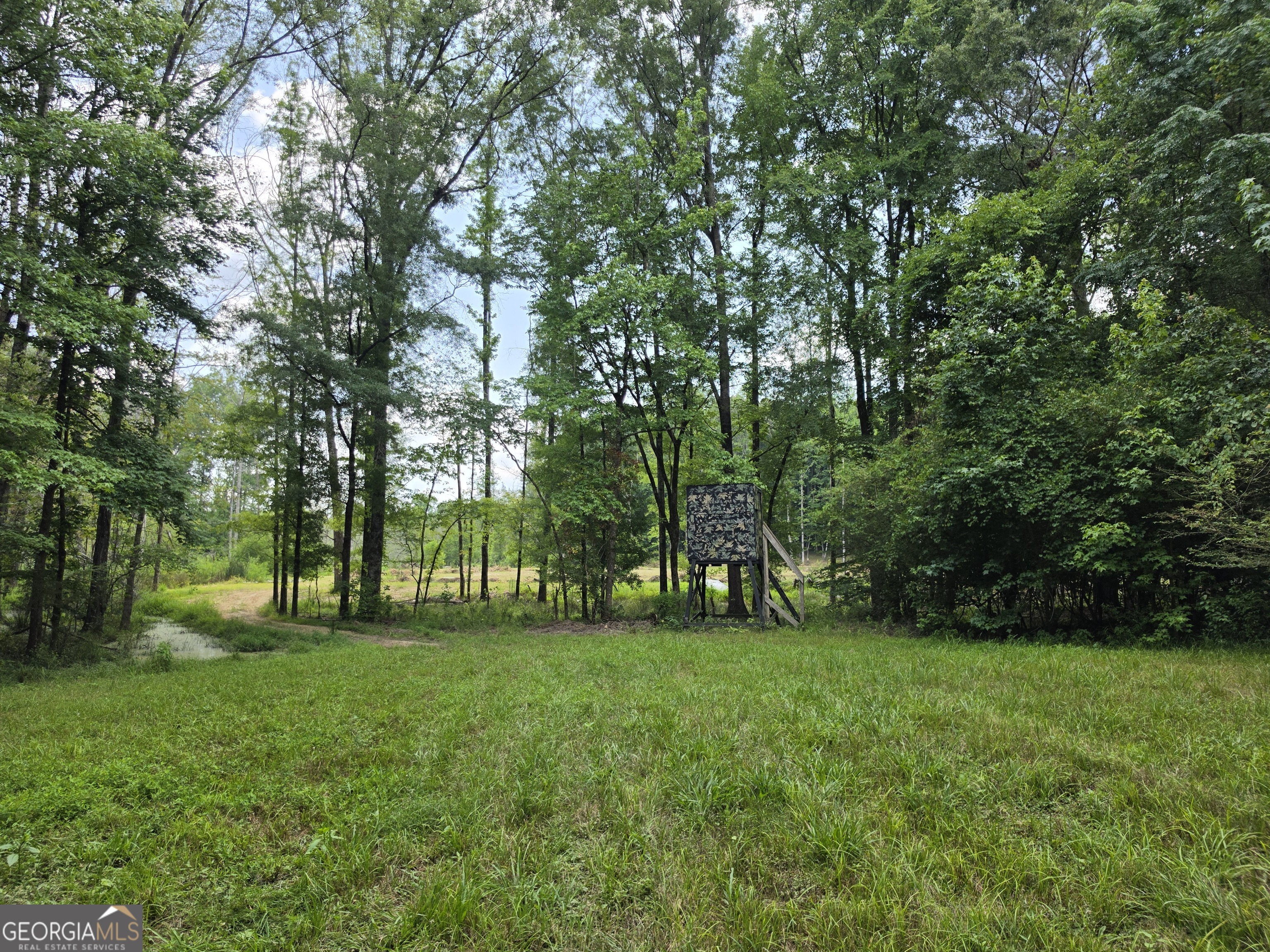 0 Court Ground Property Photo 21