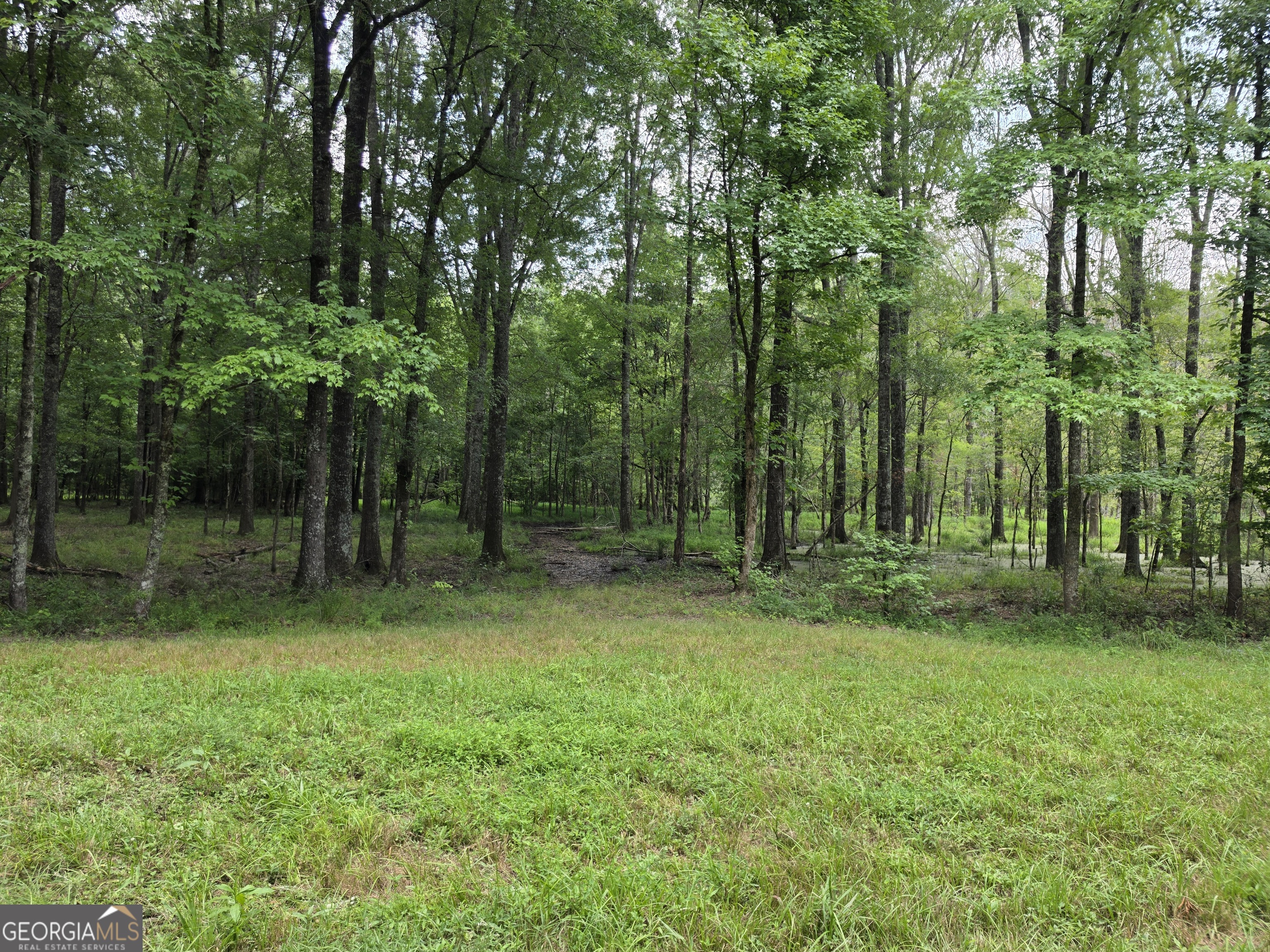 0 Court Ground Property Photo 22