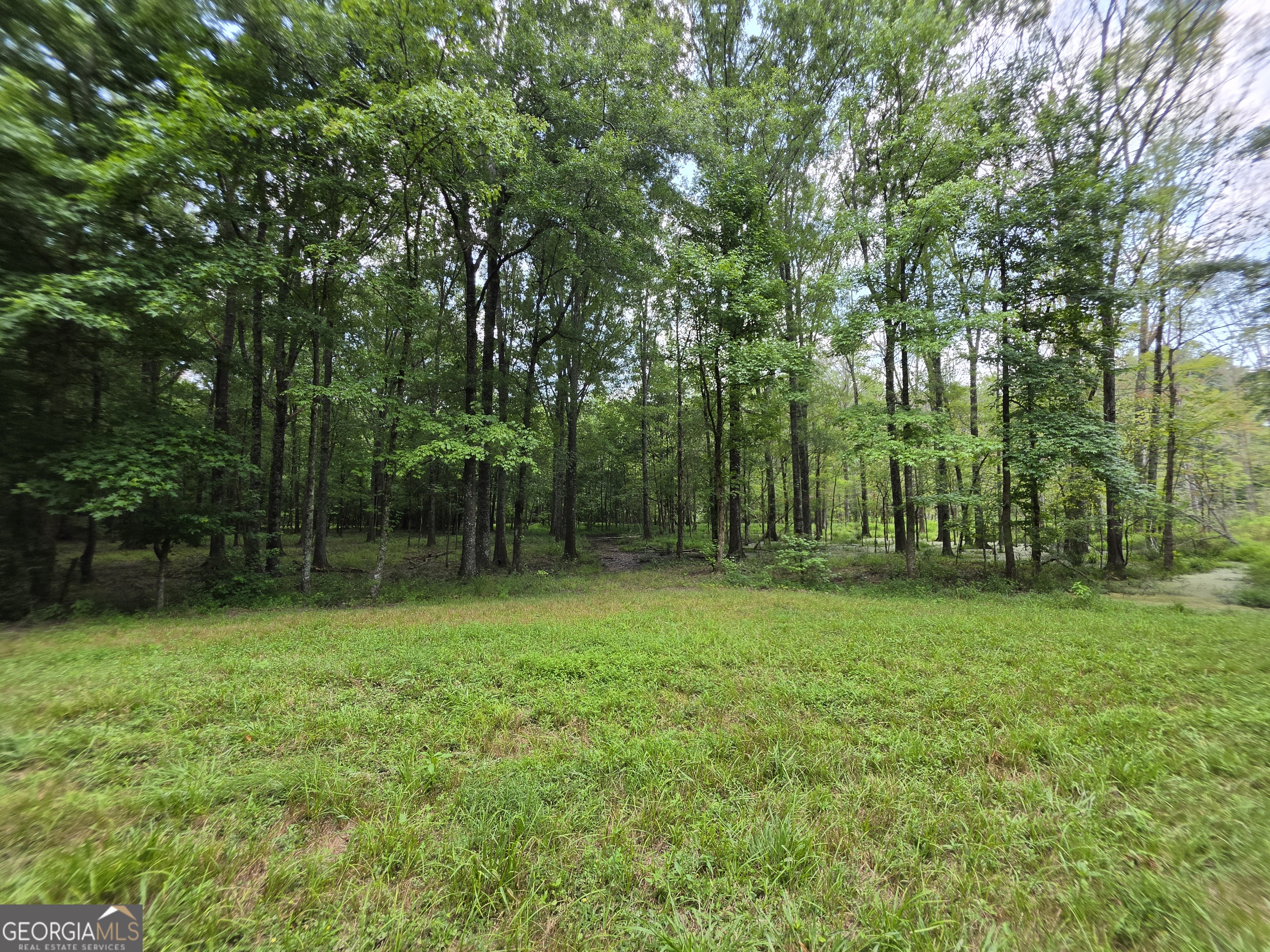 0 Court Ground Property Photo 23