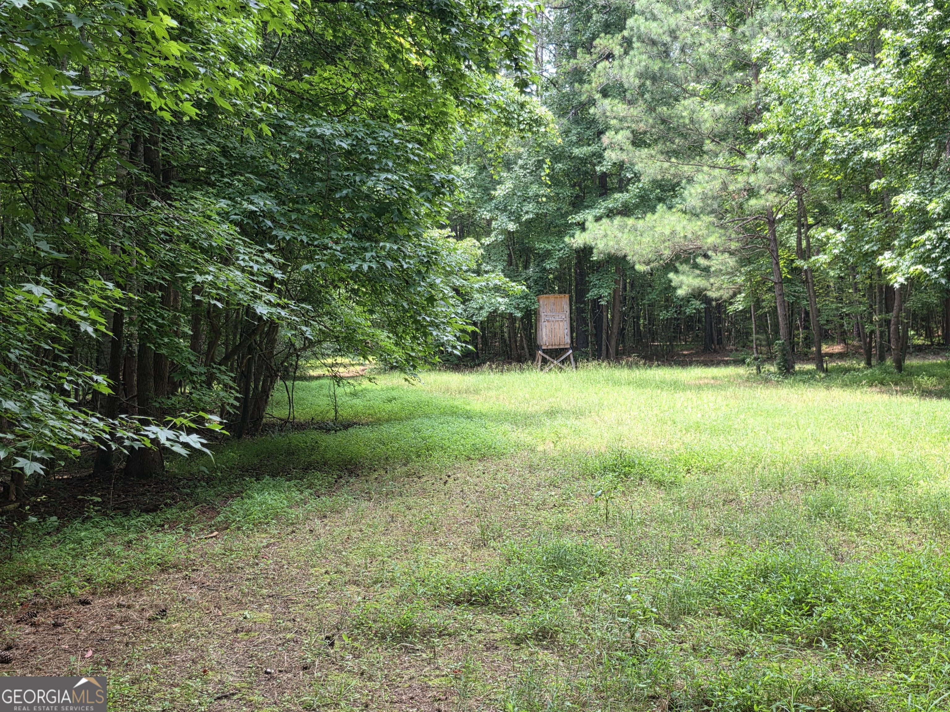 0 Court Ground Property Photo 25
