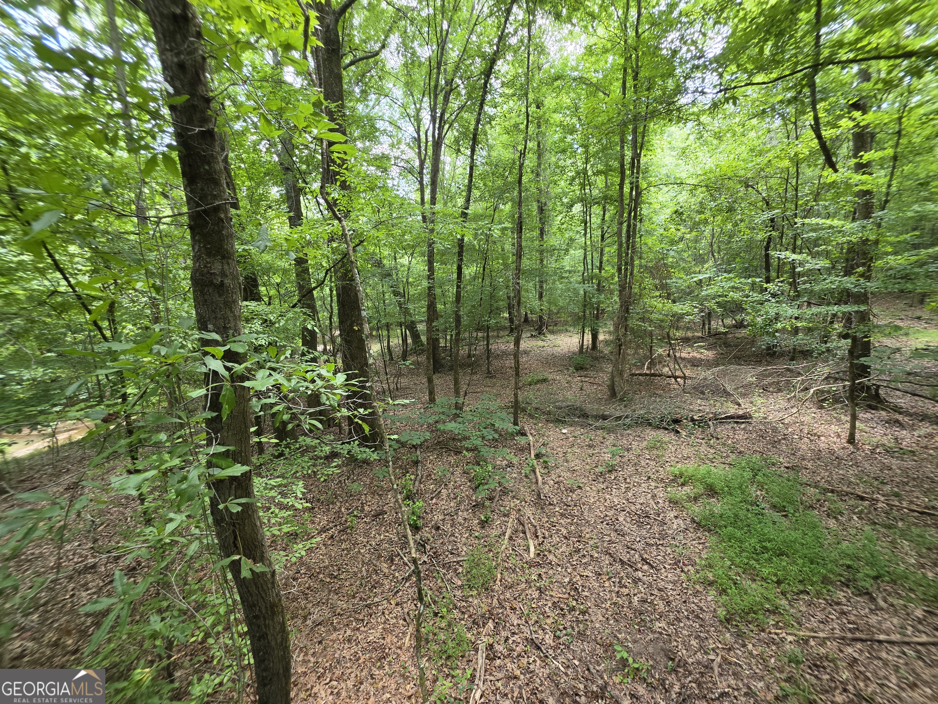0 Court Ground Property Photo 33