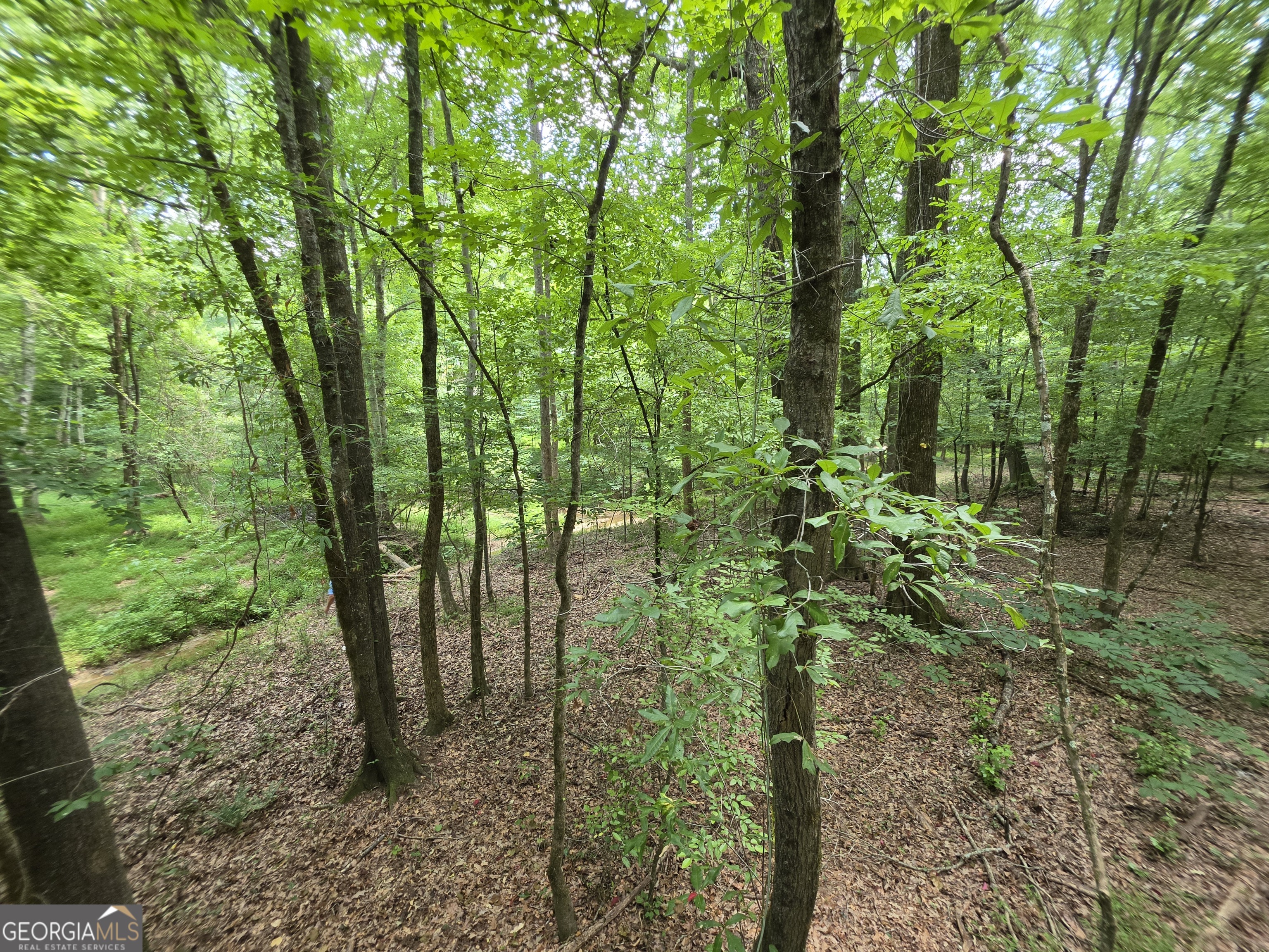 0 Court Ground Property Photo 34