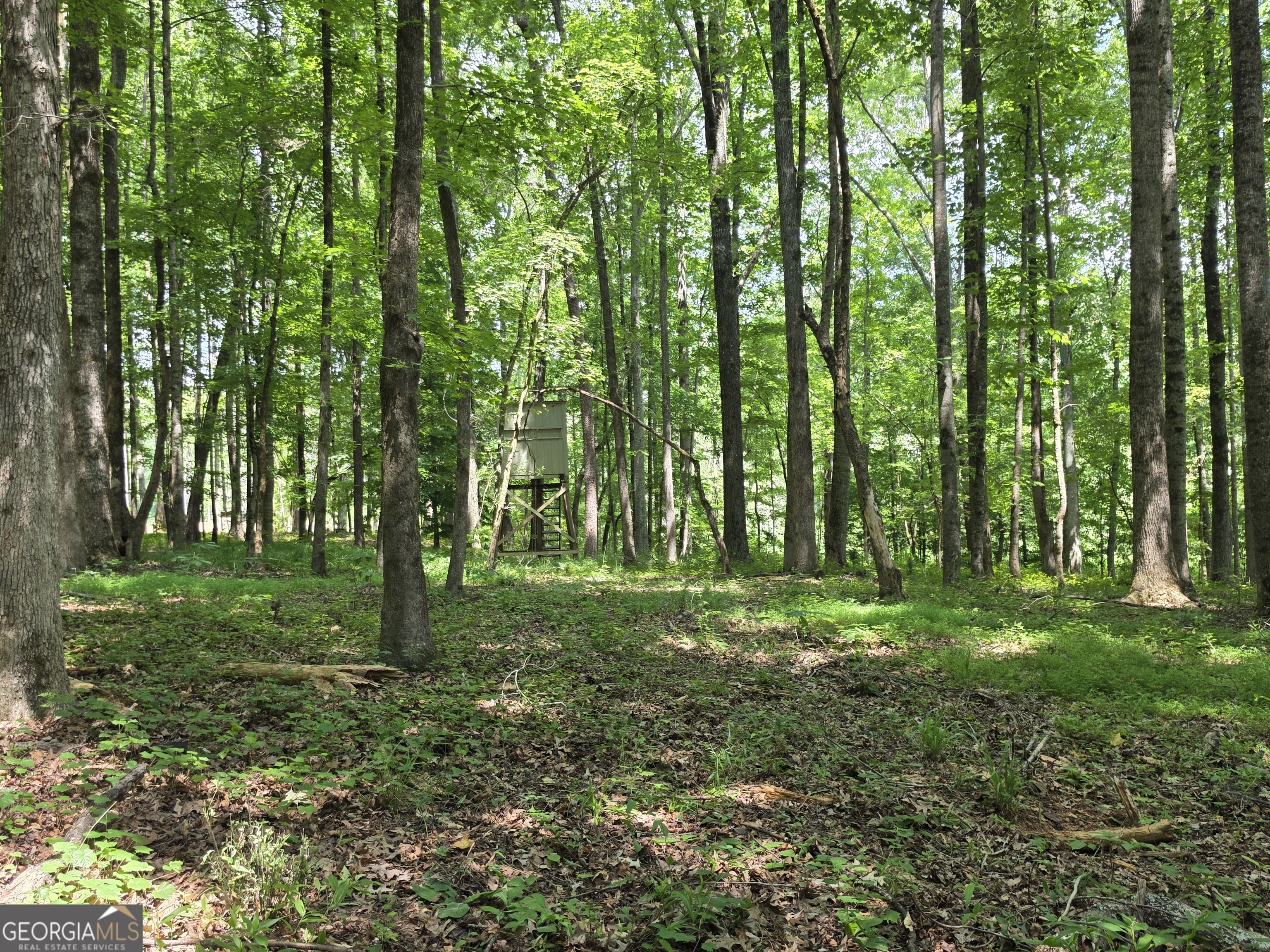 0 Court Ground Property Photo 38