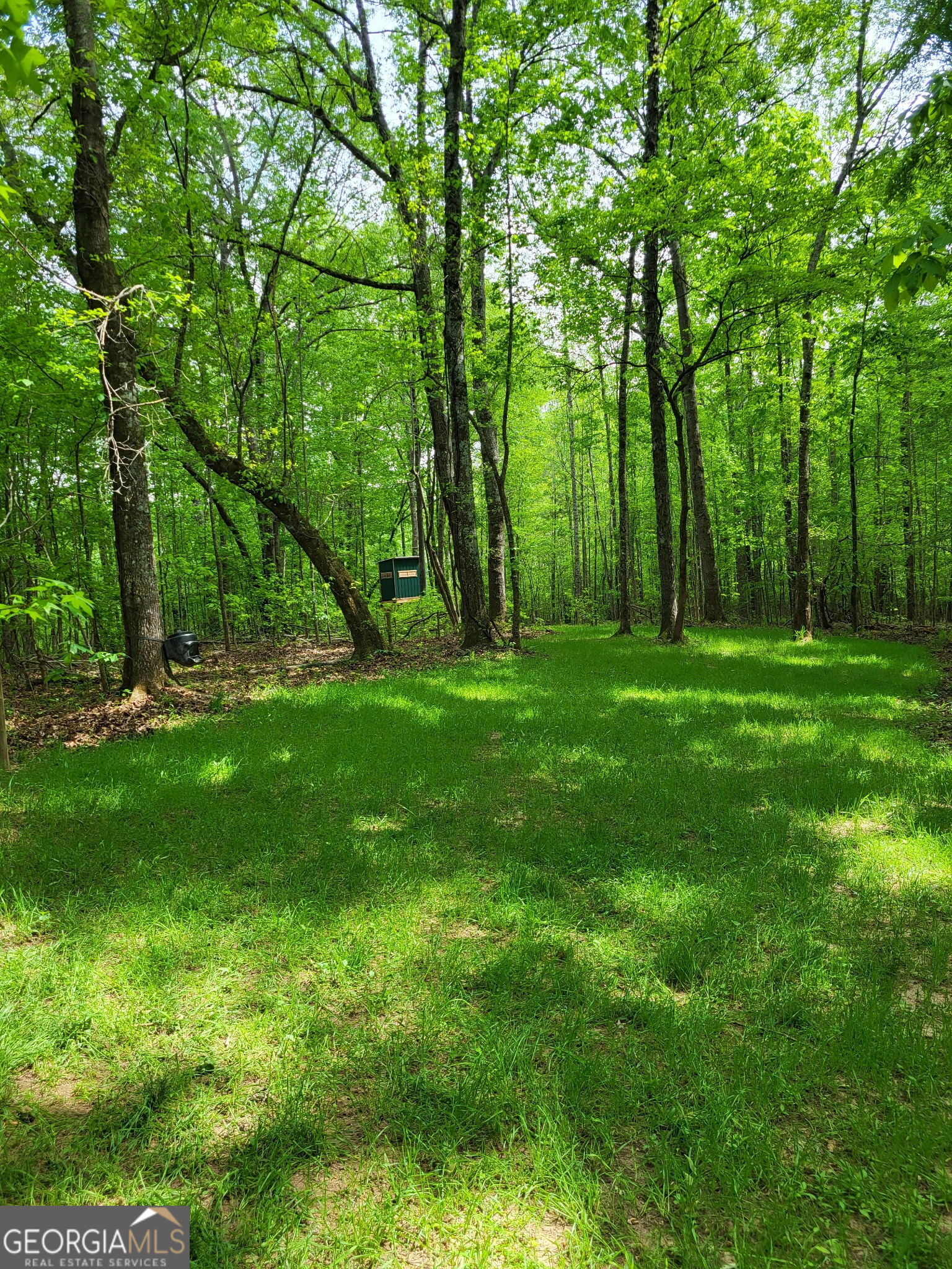 0 Court Ground Property Photo 42