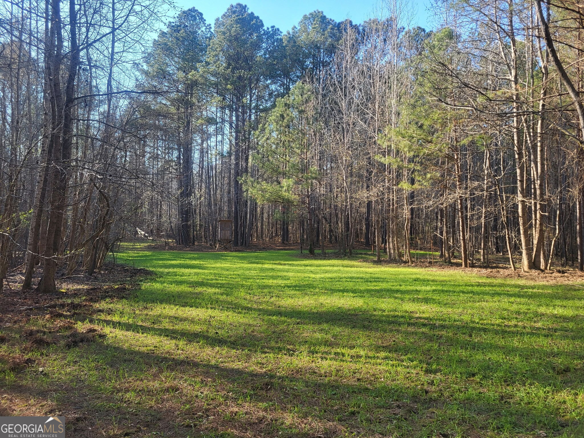 0 Court Ground Property Photo 43