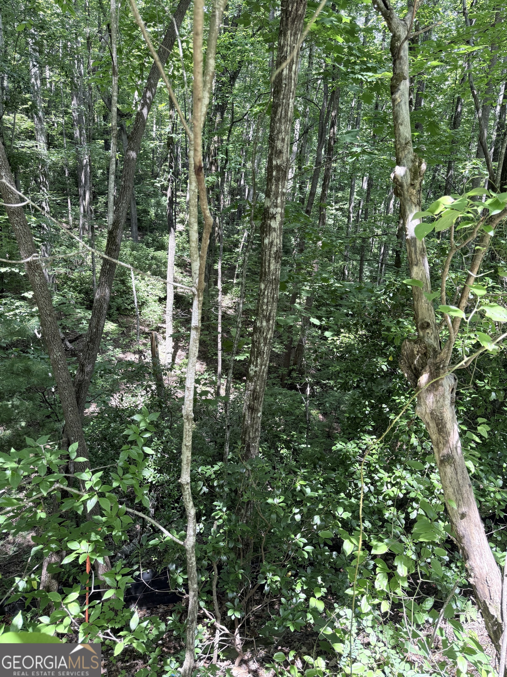 LOT 856 Larkspur Lane Property Photo 1