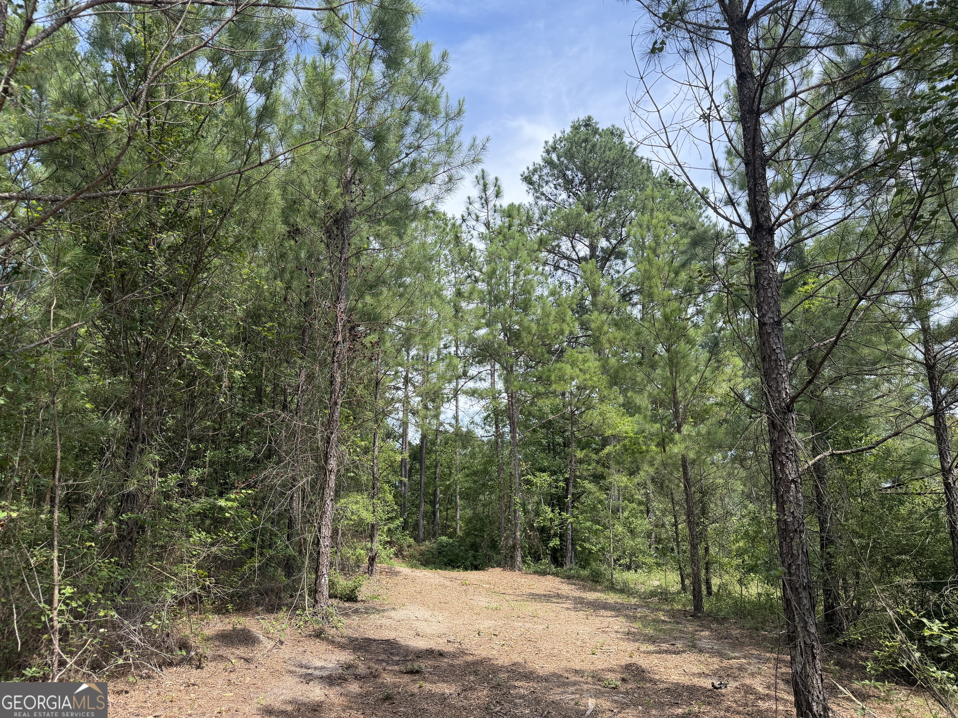 005B Cleghorn Drive