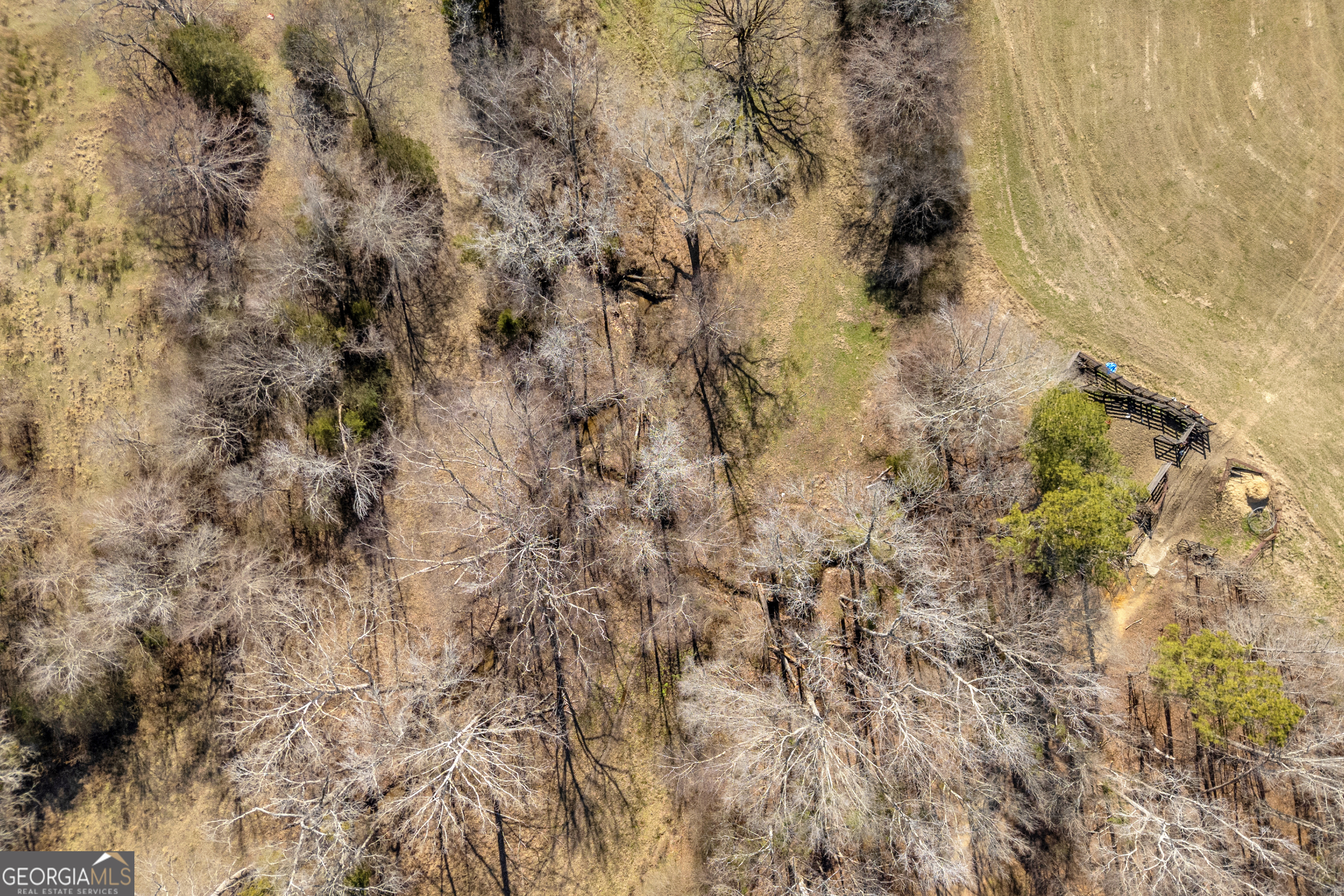 1681 Sibley School Road Property Photo 13