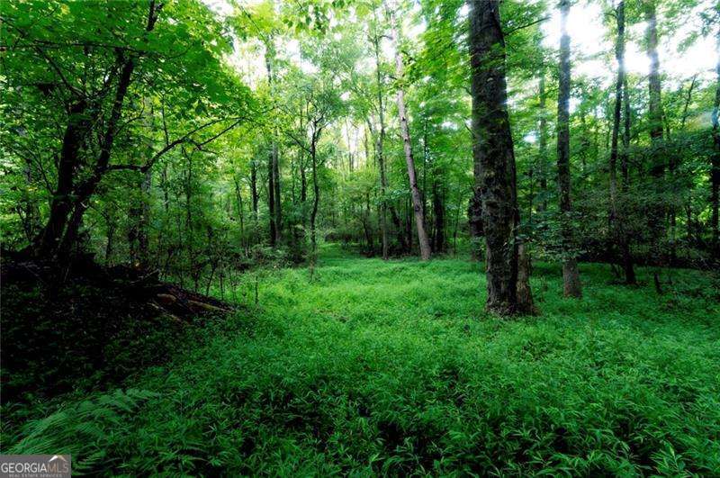 4669 Huntsman Bend Property Photo 8