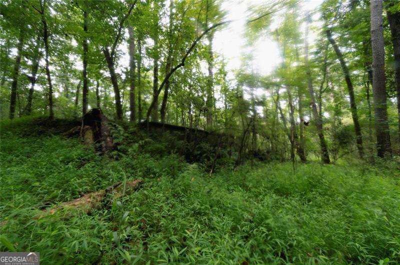 4669 Huntsman Bend Property Photo 10