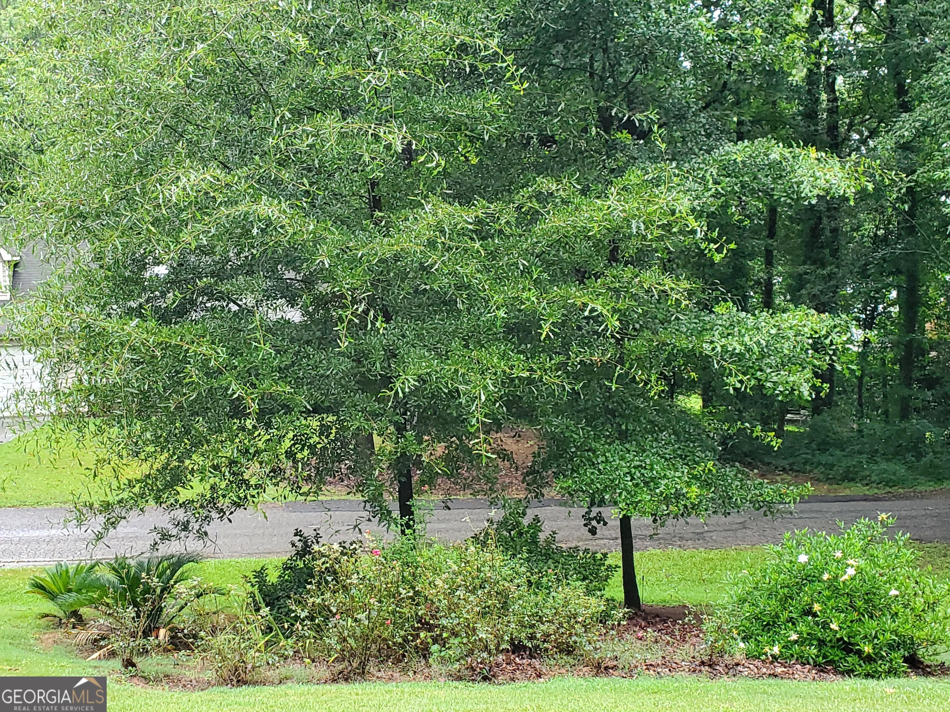 575 Starling Drive Property Photo 2